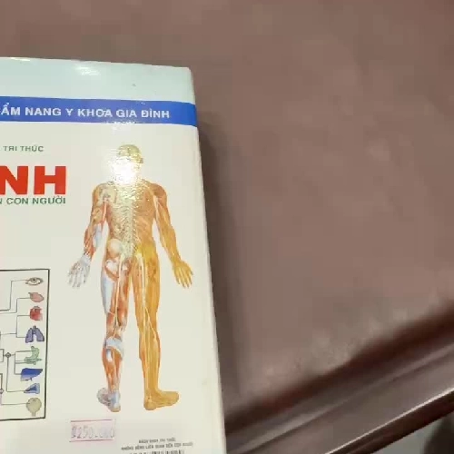 Bách Khoa Tri Thức Về Những Bệnh Liên Quan Đến Con Người – Cẩm Nang Y Khoa - K3