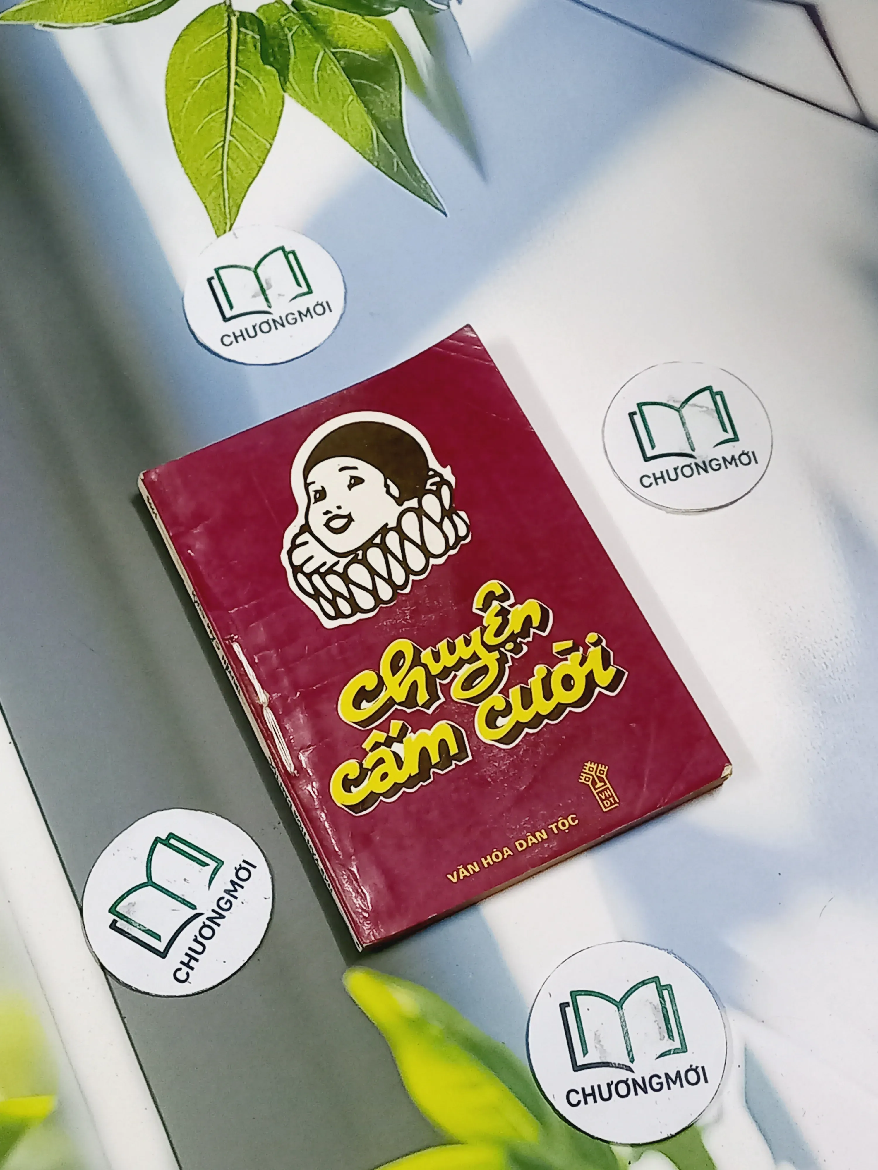 Chuyện Cấm Cười - Diệp Phương Huyền