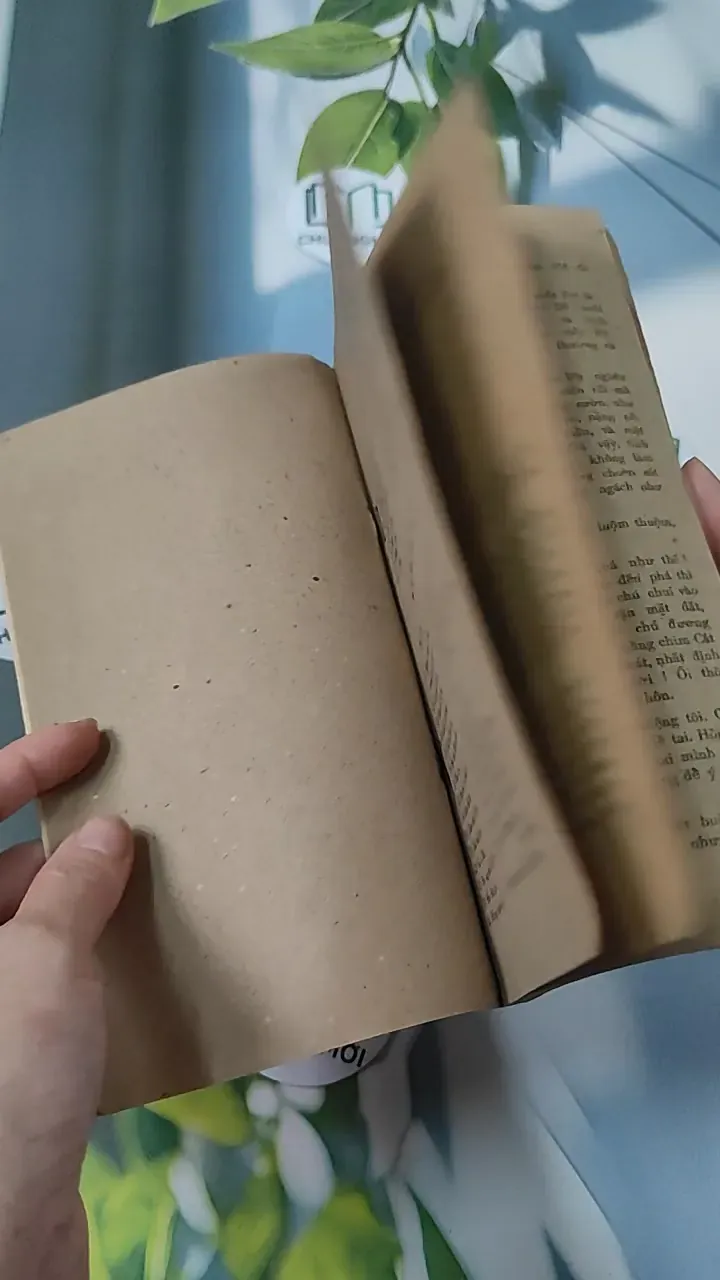 [MIỄN PHÍ BỌC SÁCH] [XƯA] Dế Mèn Phiêu Lưu Ký (1981) - Tô Hoài 775974