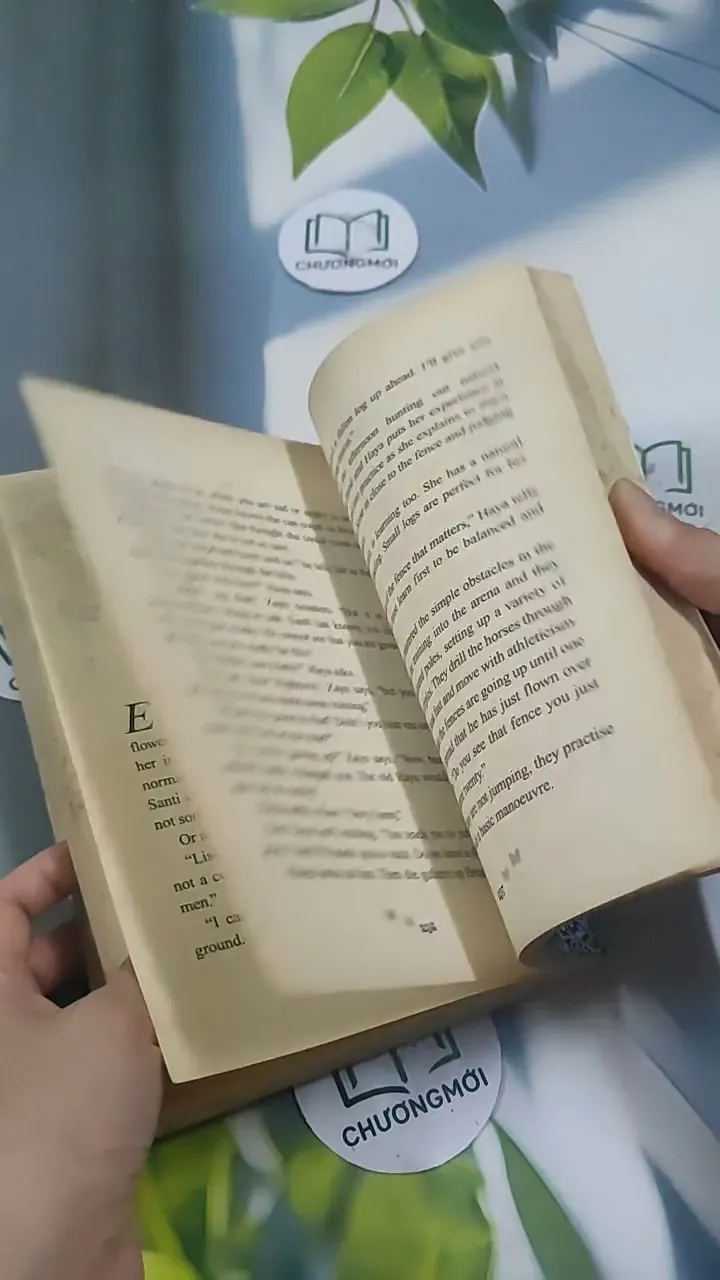 The Princess and the Foal - Stacy Gregg 715620