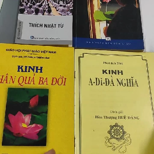 Combo: Tu Nhà, Thanh Quy Dành Cho Người Tại Gia, Kinh Nhân Quả Ba Đời, Kinh A Di Đà Nghĩa - Thích Chân Tính
