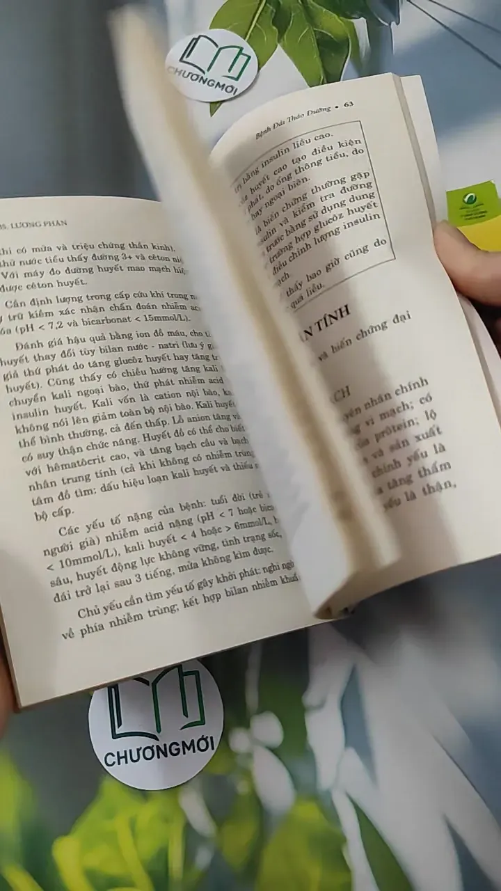 Combo Bệnh Đái Tháo Đường, Thực Đơn Cho Người Bệnh Đái Tháo Đường - BS. Lương Phán 780778