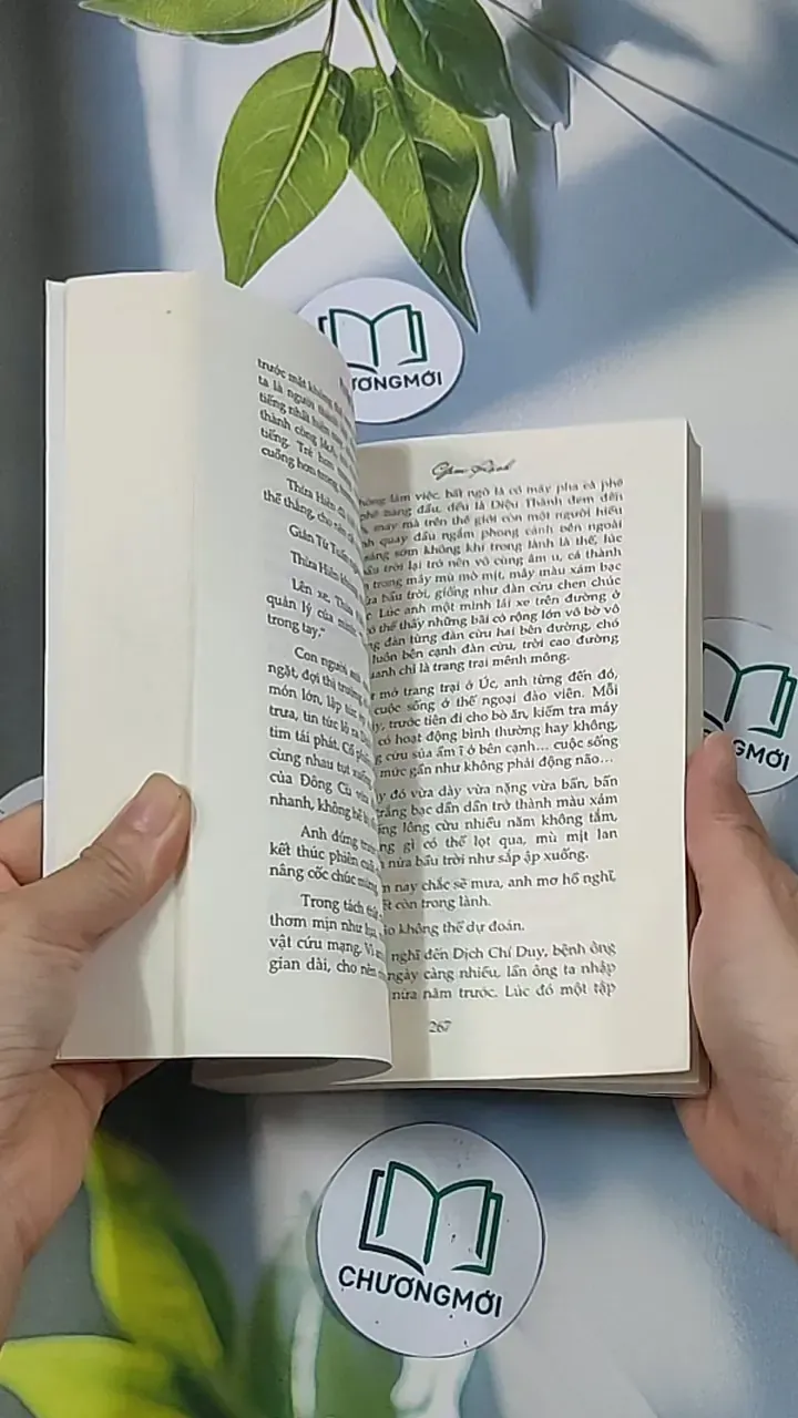 Gấm rách - Phỉ Ngã Tư Tồn 688659