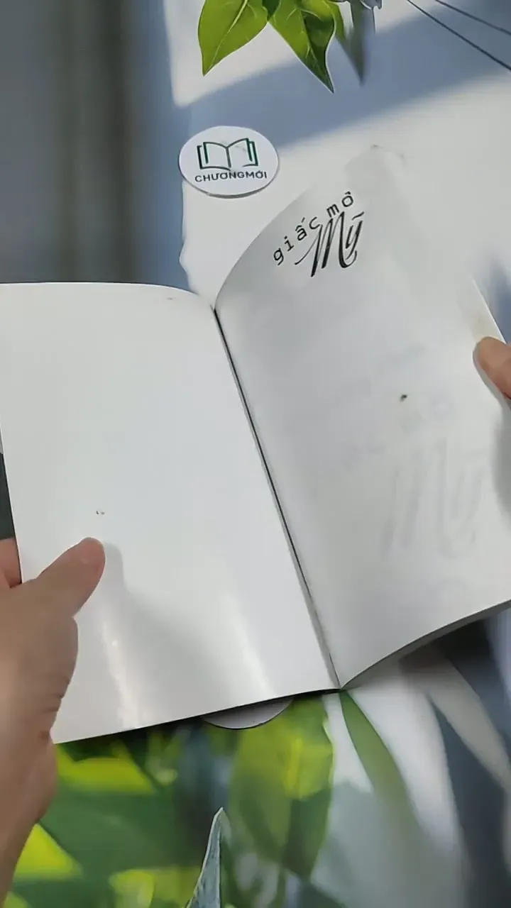 Giấc Mơ Mỹ - Vương Tâm 705661