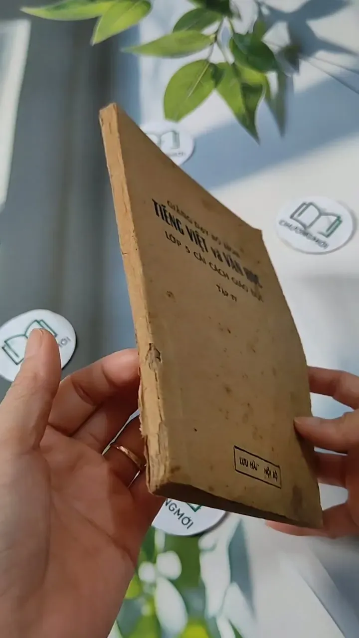 Giảng dạy bộ môn Tiếng Việt và Văn Học lớp 5 cải cách giáo dục (tập 4) - Đặng Mạnh Thường 713804