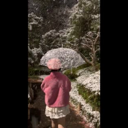 Áo lông màu Hồng lên hình xinh lắm. Đã qua sử dụng 1 lần mặc rất ấm