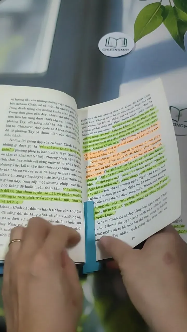 Tâm Tĩnh Lặng - Achaan Chah 727369