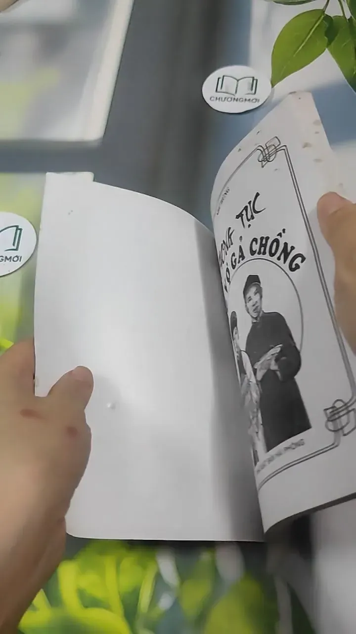 Phong Tục Dựng Vợ Gả Chồng - Như Hùng 727386