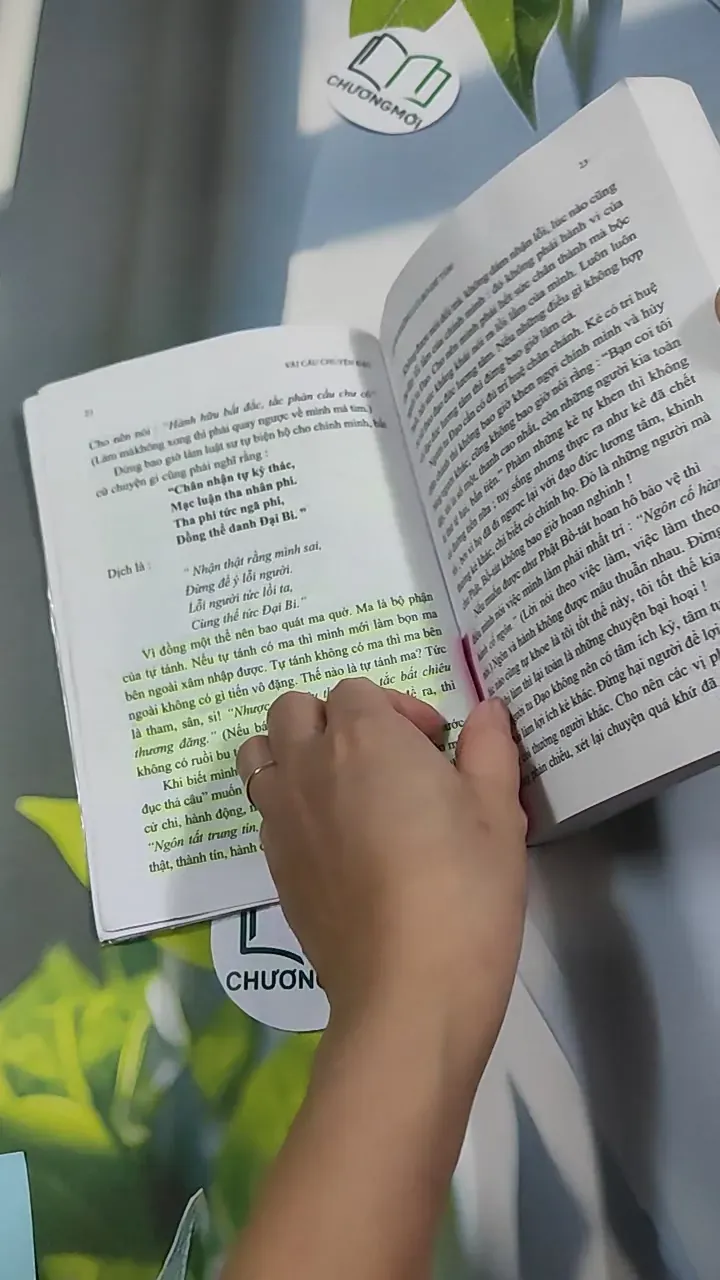 Vài câu chuyện Đạo (Song ngữ Việt - Pháp) 776202