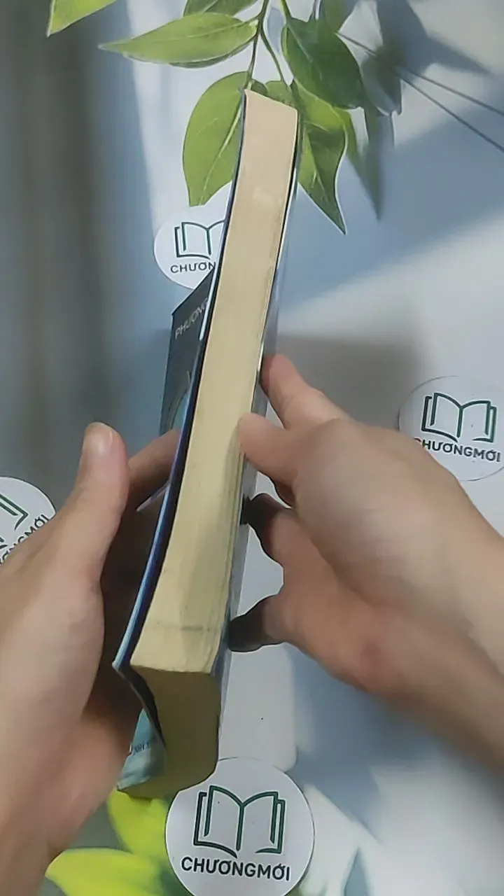 Cung luân (tập 6): Kiếp ba - Phượng Ca 688621