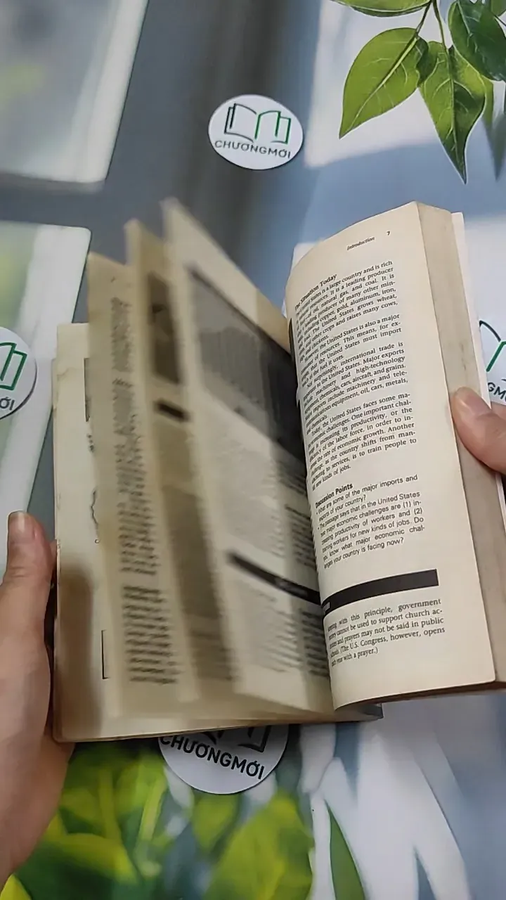 Spotlight on the USA - Randee Falk 754540