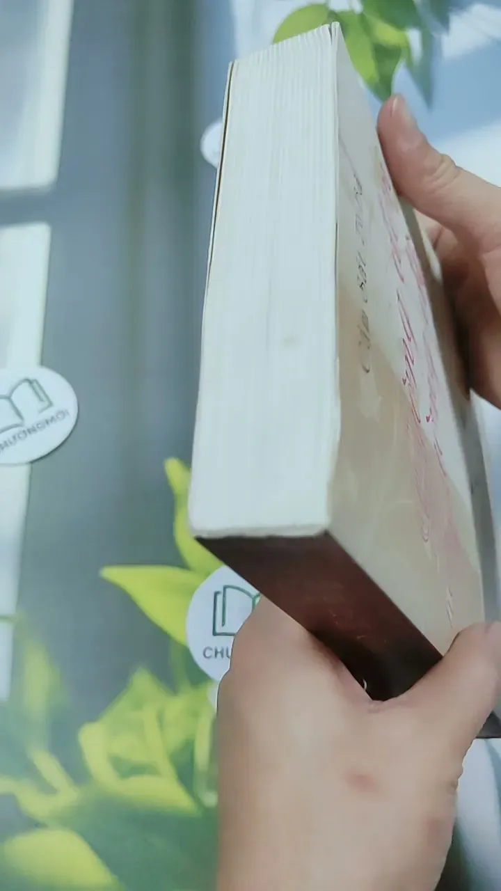 Giường Đơn Hay Giường Đôi - Cầm Sắt Tỳ Bà 744730