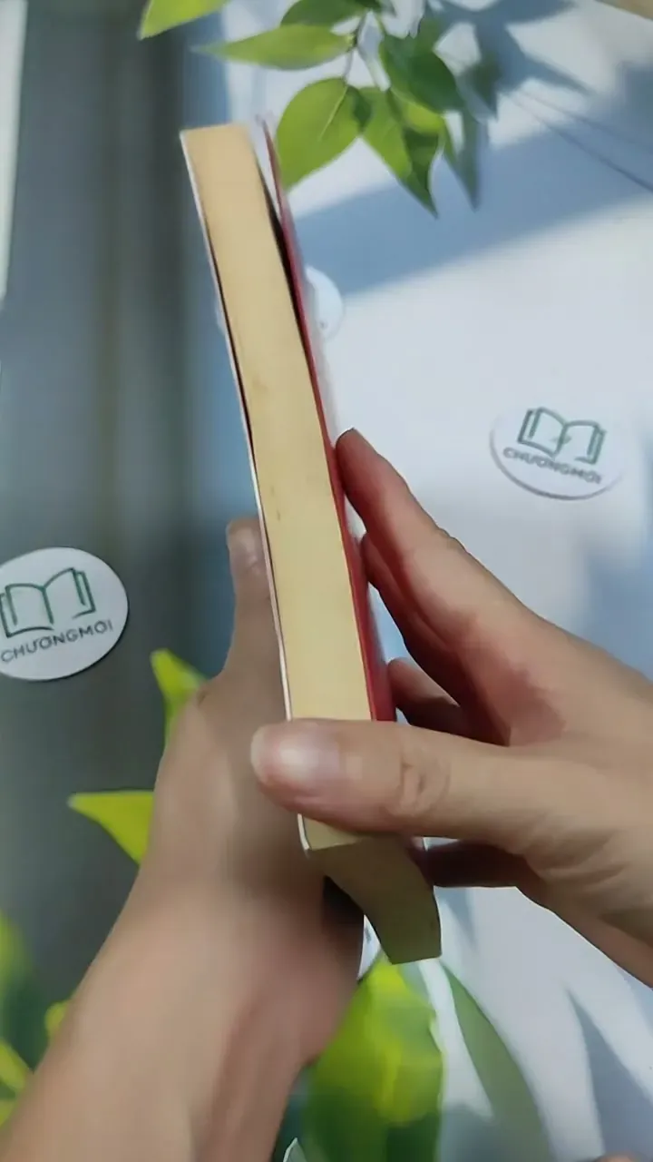 Sài Gòn Mùa Trứng Rụng - Chị Đẹp 705696