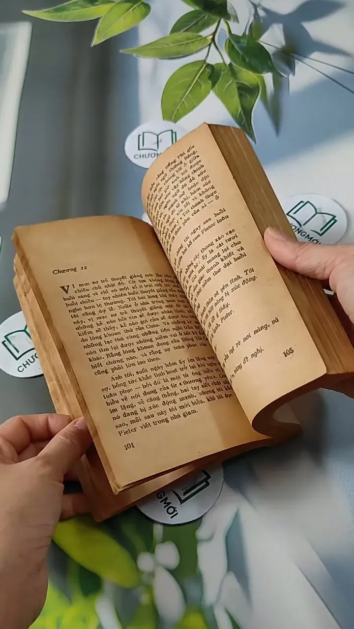 Tuyệt Mù Bóng Chim - Alan Paton 713811