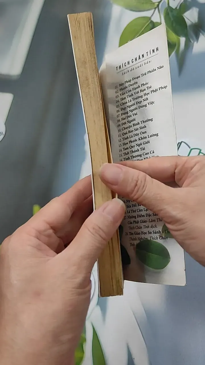 Chuyện Bình Thường - Thích Chân Tính 776106