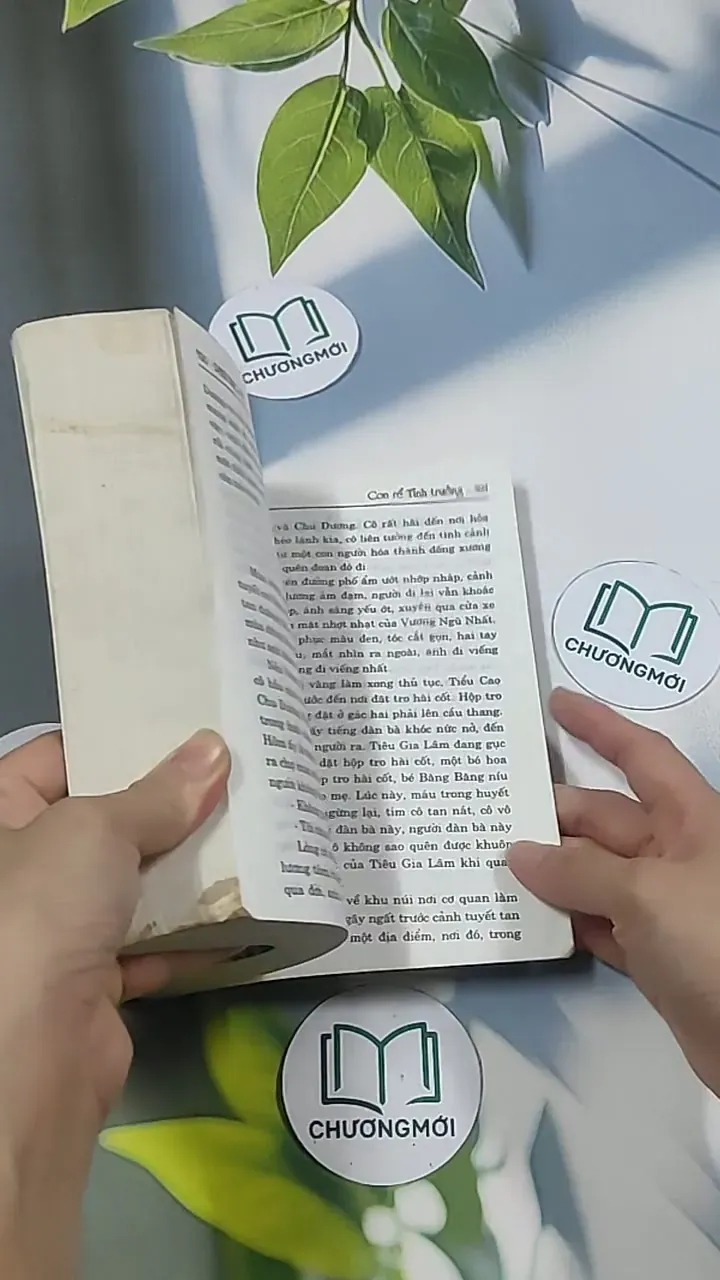 Con rể tỉnh trưởng - Phương Vỹ 695009