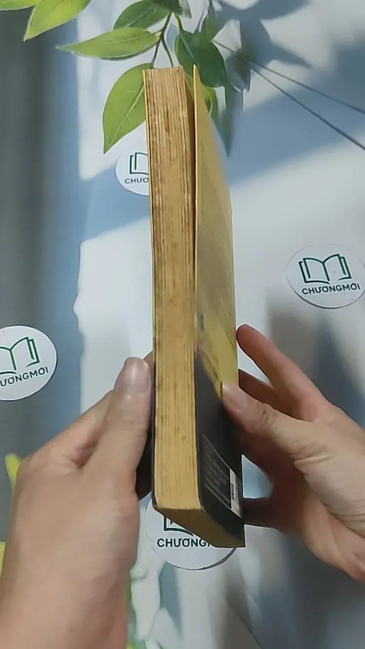 Trí tuệ diệu kỳ - G. Francis Xavier 688558