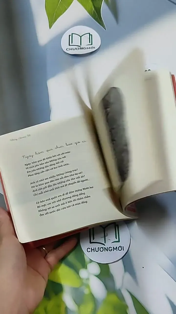 Cô Đơn Cũng Không Khóc - Thủy Anna 703158