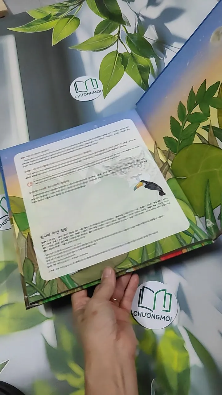 Truyện thiếu nhi Hàn Quốc: Moyamo Anu 26 -  모야모 아누와: 달나라 하얀 달꽃 750839