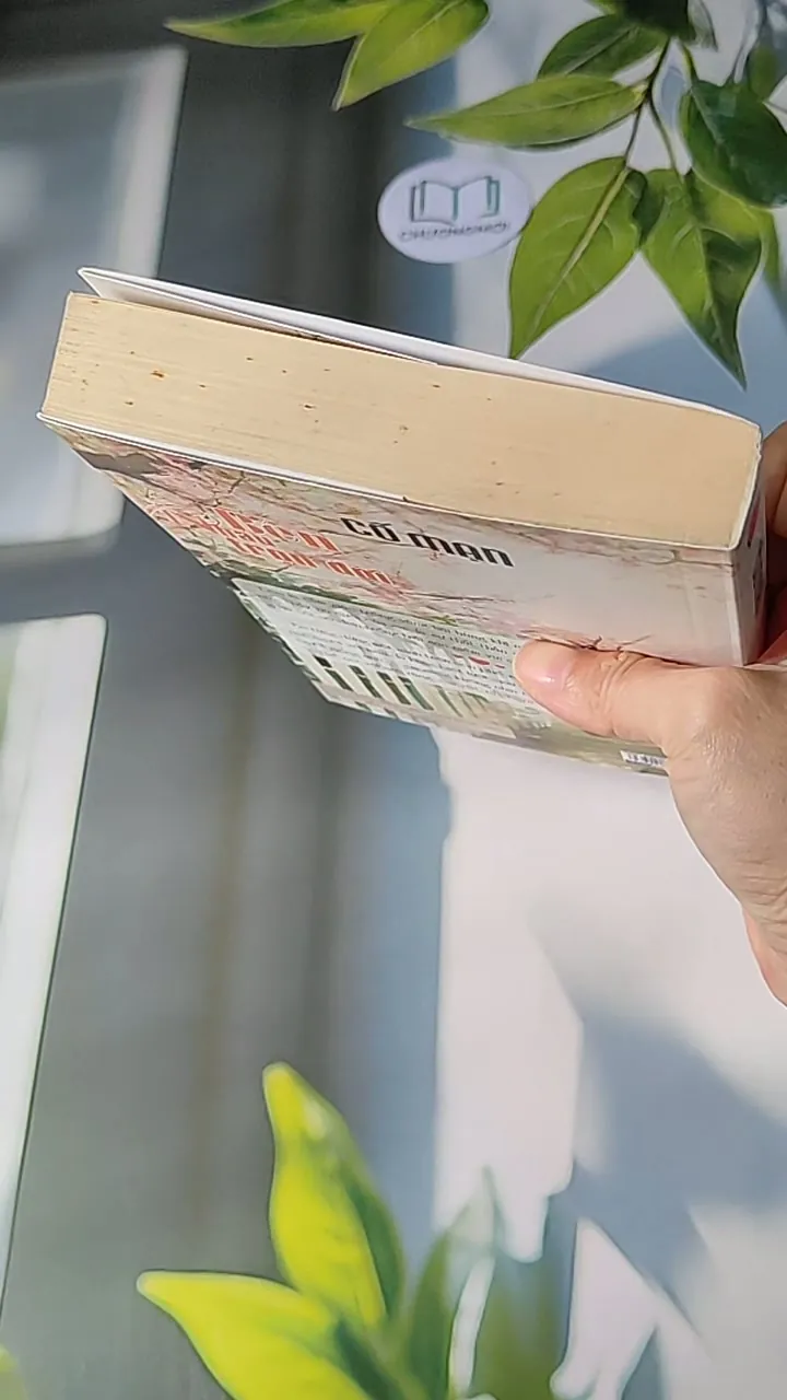 Bên Nhau Trọn Đời - Cố Mạn 607716