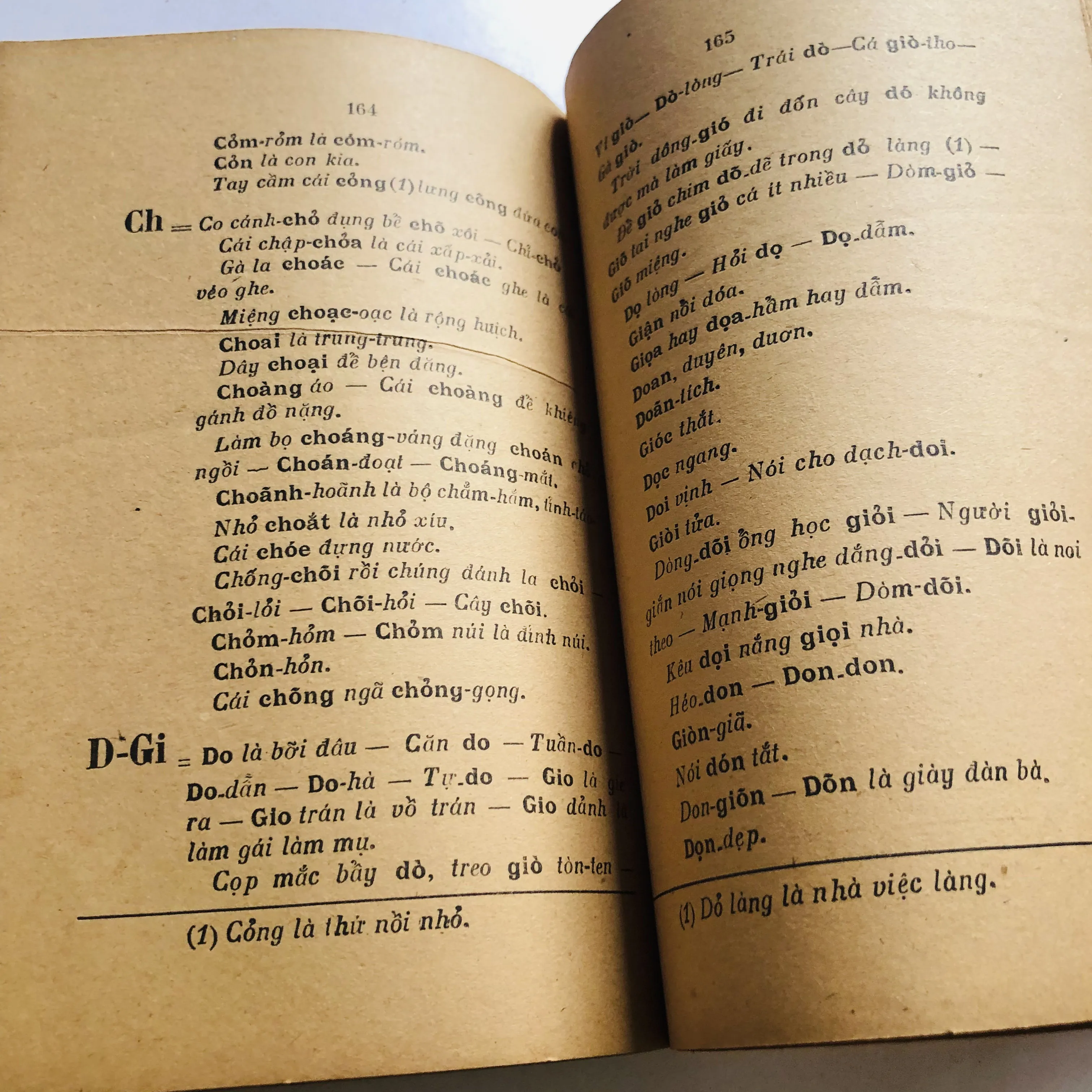 TRÙNG ÂM DỊ TỰ – Phạm Hữu Điển 1949 752808