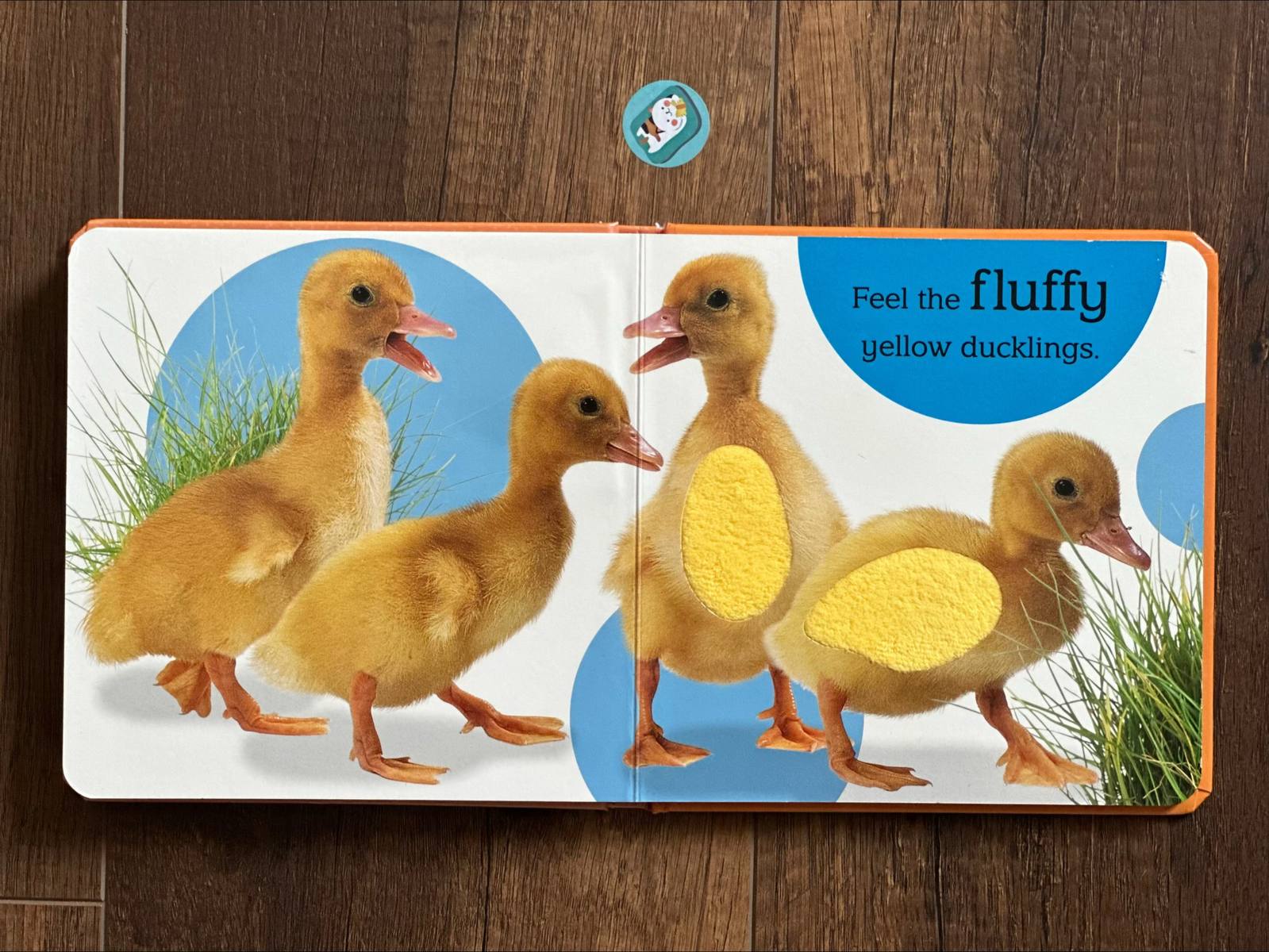 Sách boardbook Toich and Feel: Baby Animals