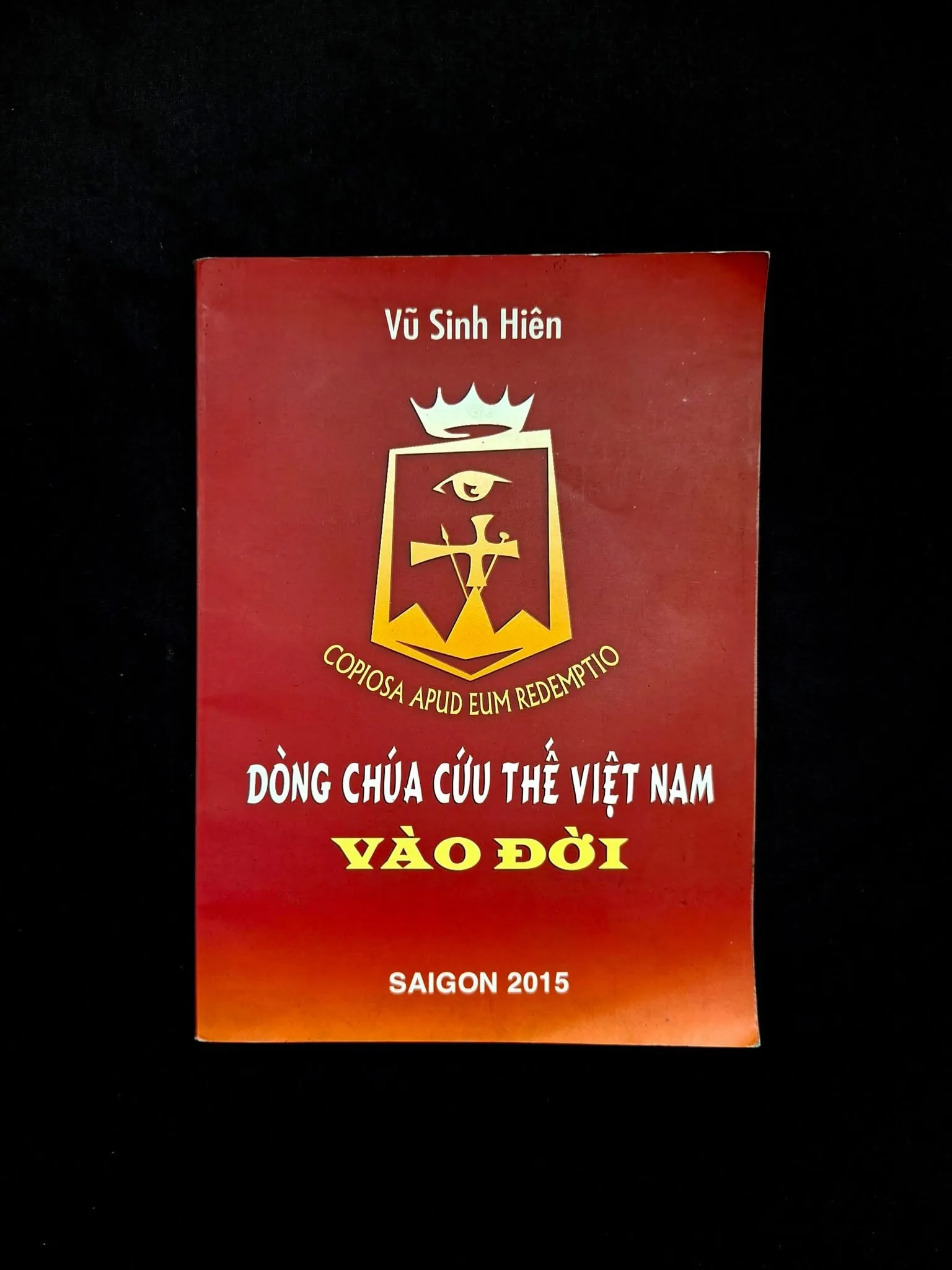 Dòng Chúa Cứu Thế Việt Nam Vào Đời - Vũ Sinh Hiên  