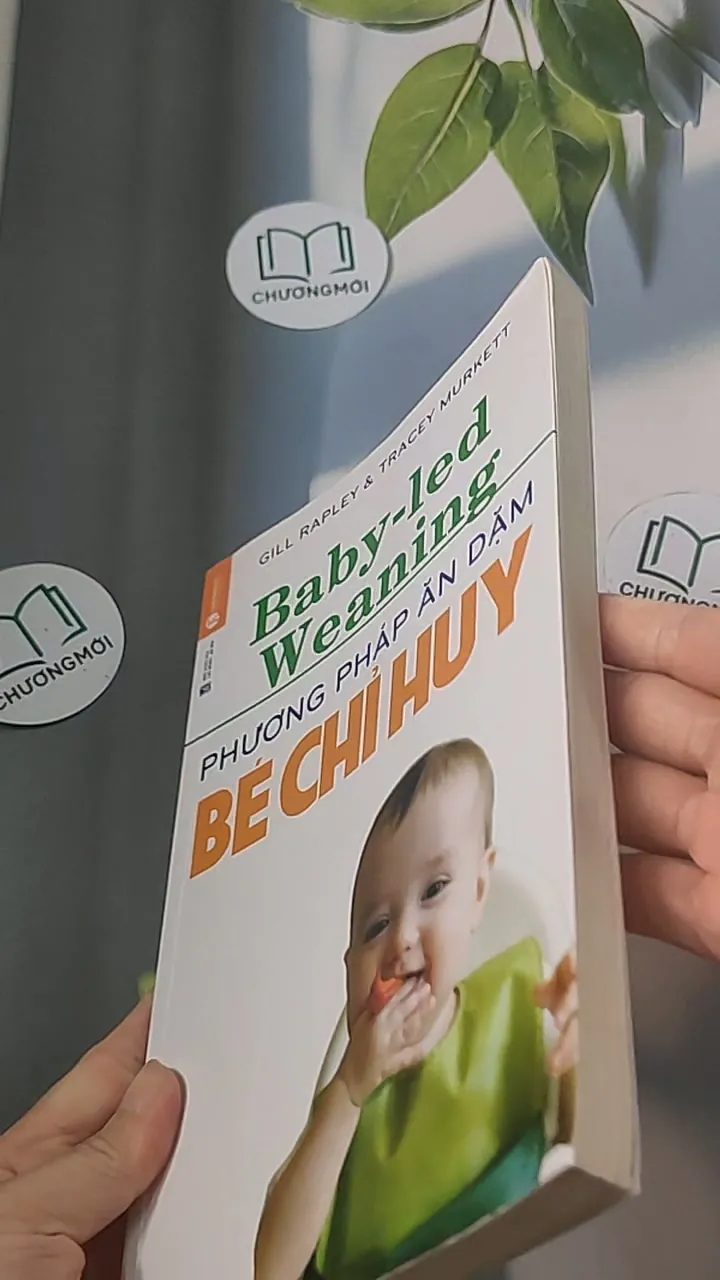 Phương pháp ăn dặm bé chỉ huy 688485