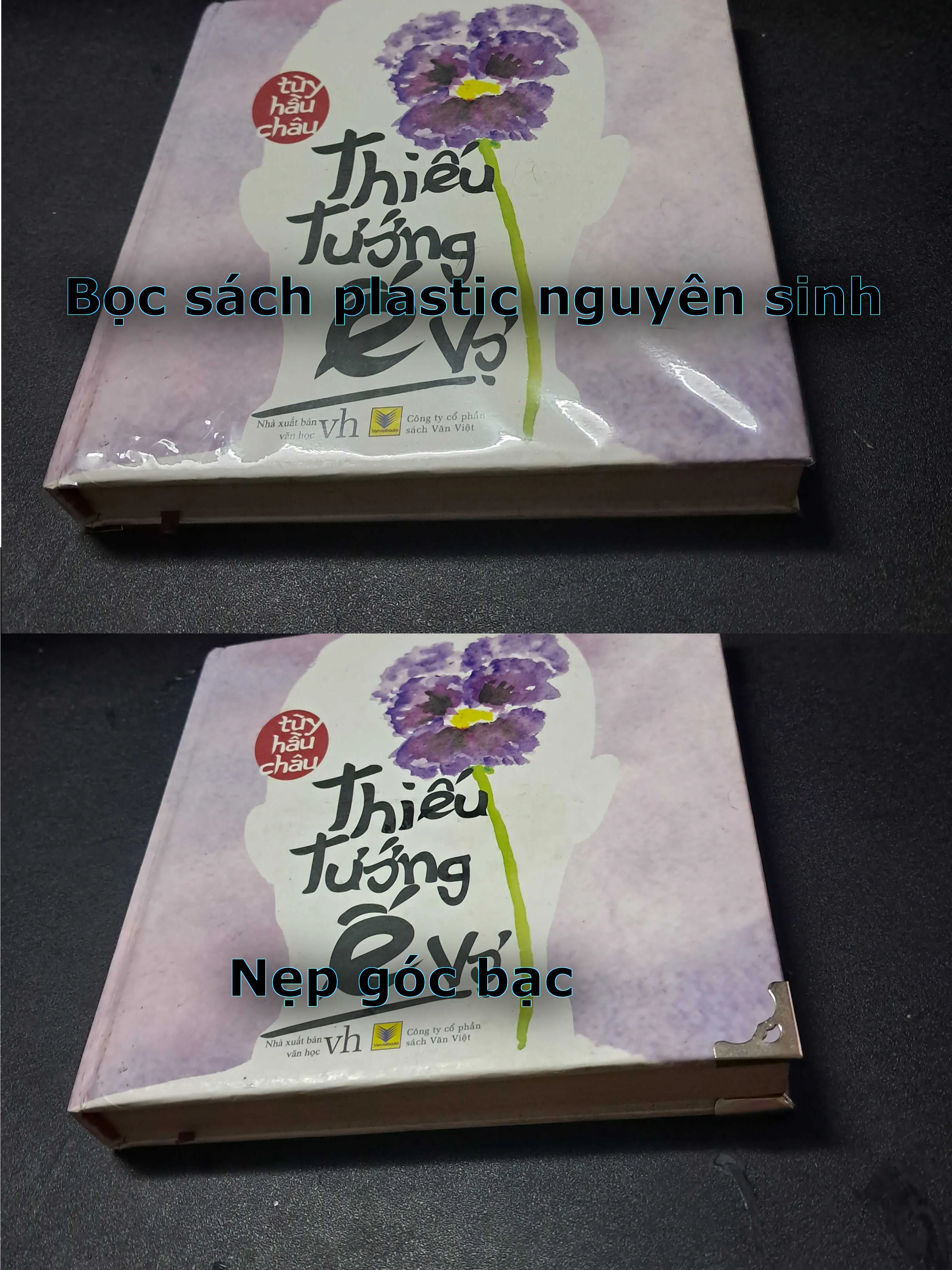 [MIỄN PHÍ BỌC SÁCH] Truyện Ngắn Con Bướm Tím - Rệp Nâu 750814