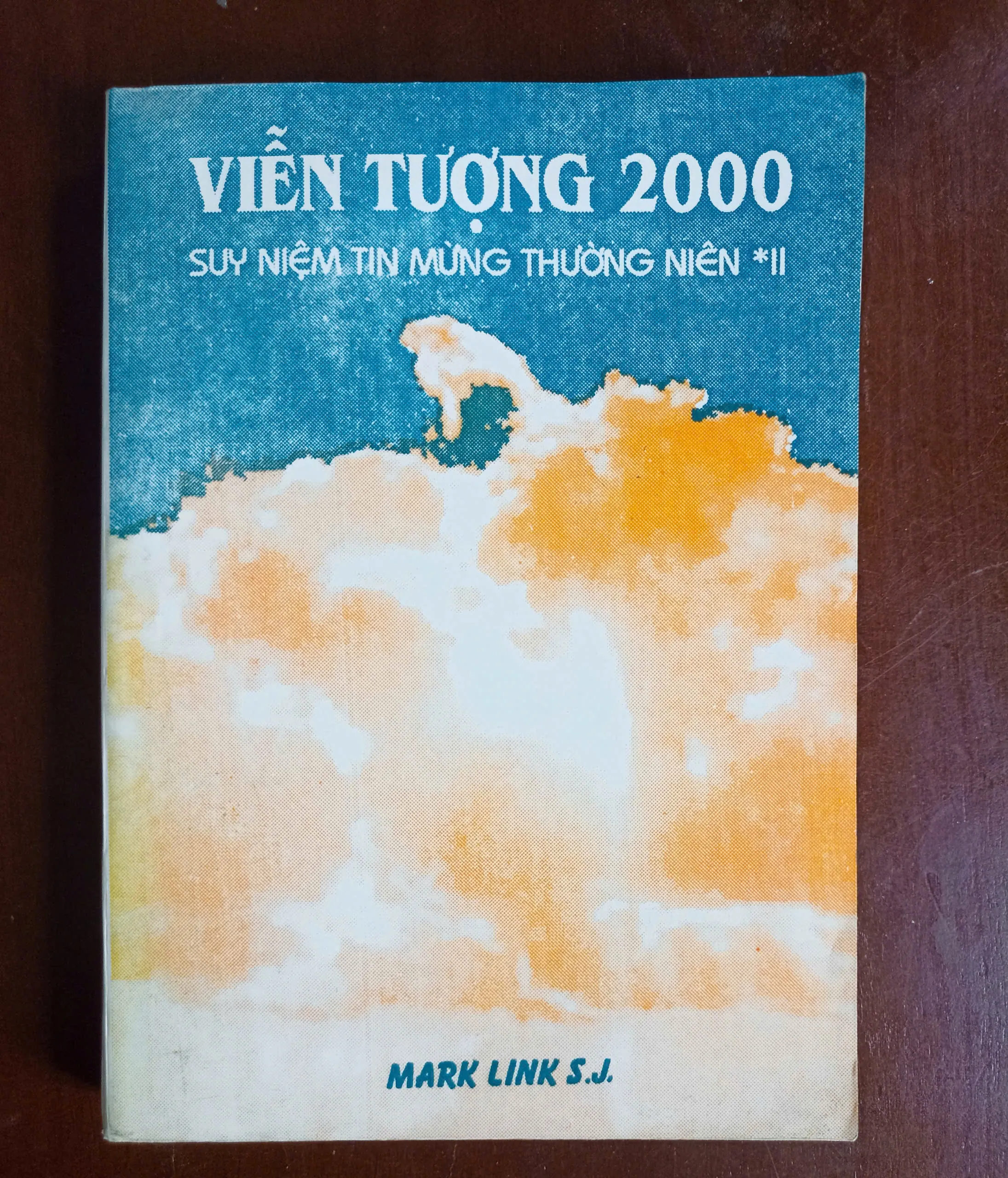 Viễn tượng 2000 - Suy niệm tin mừng thường niên II 🌻