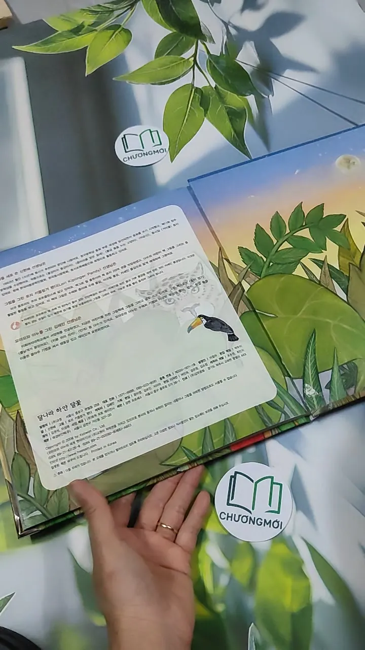 Truyện thiếu nhi Hàn Quốc: Moyamo Anu 26 -  모야모 아누와: 달나라 하얀 달꽃 750839