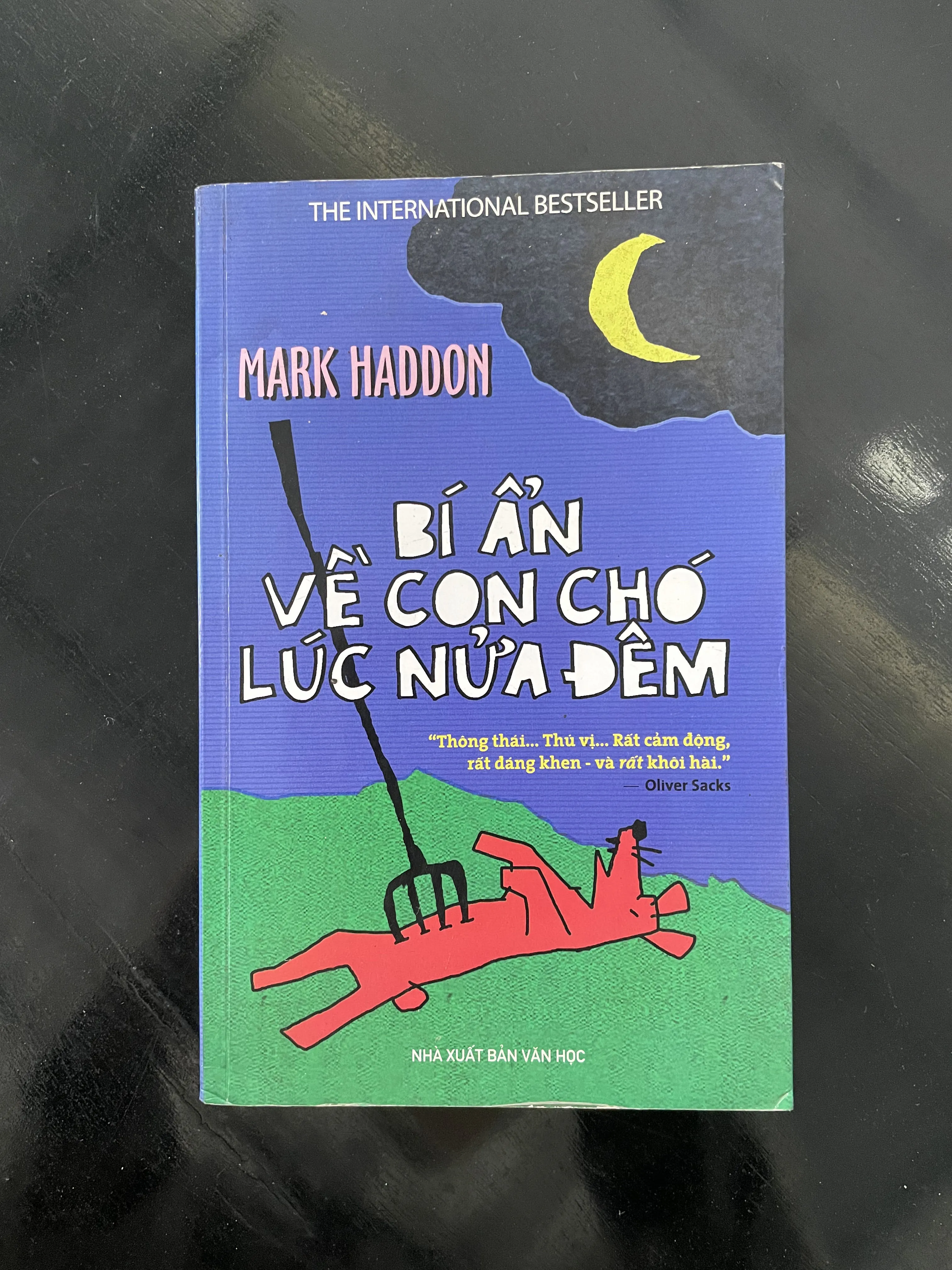 Bí ẩn về con chó