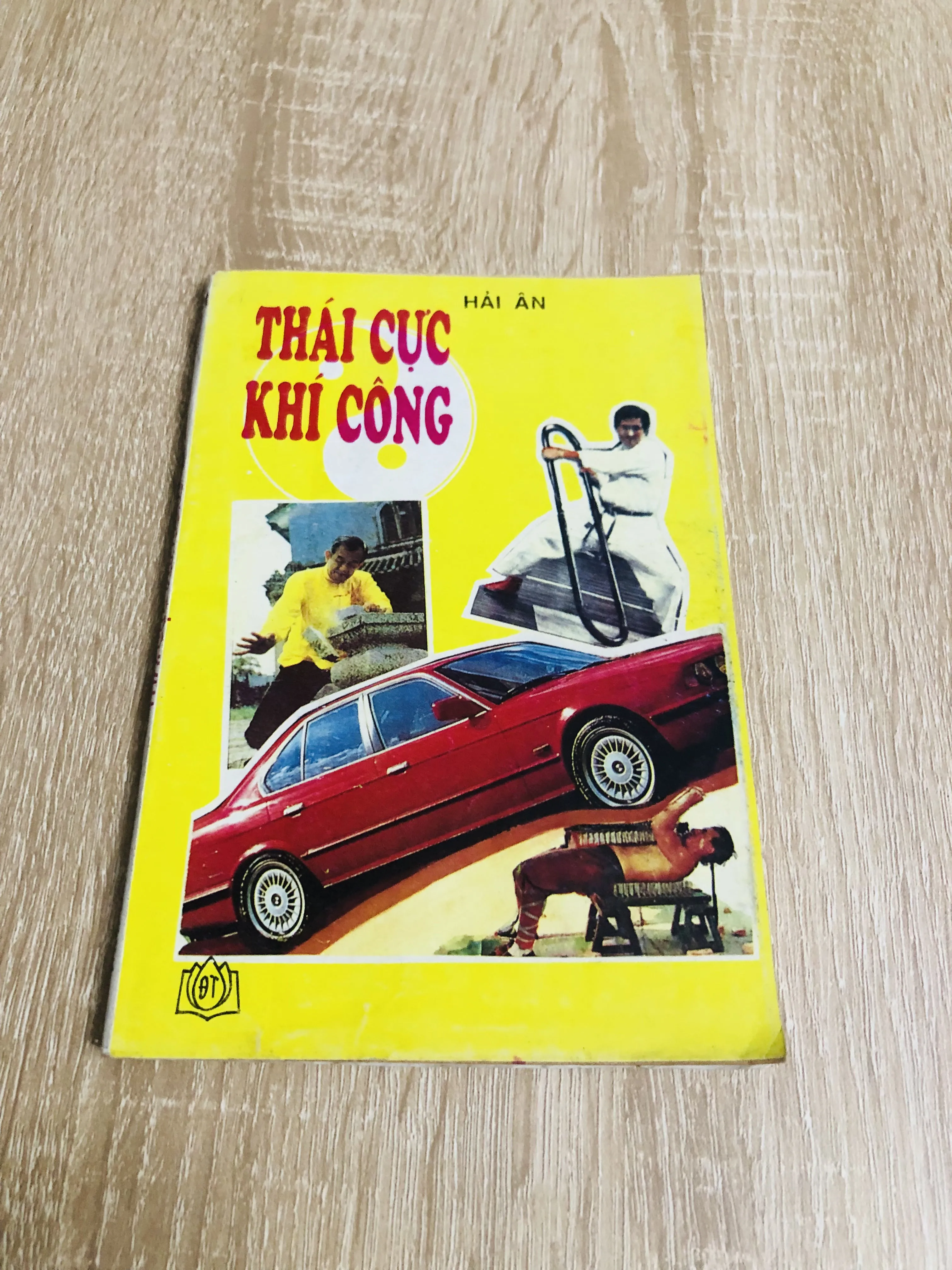 THÁI CỰC KHÍ CÔNG ( Hải Ân)