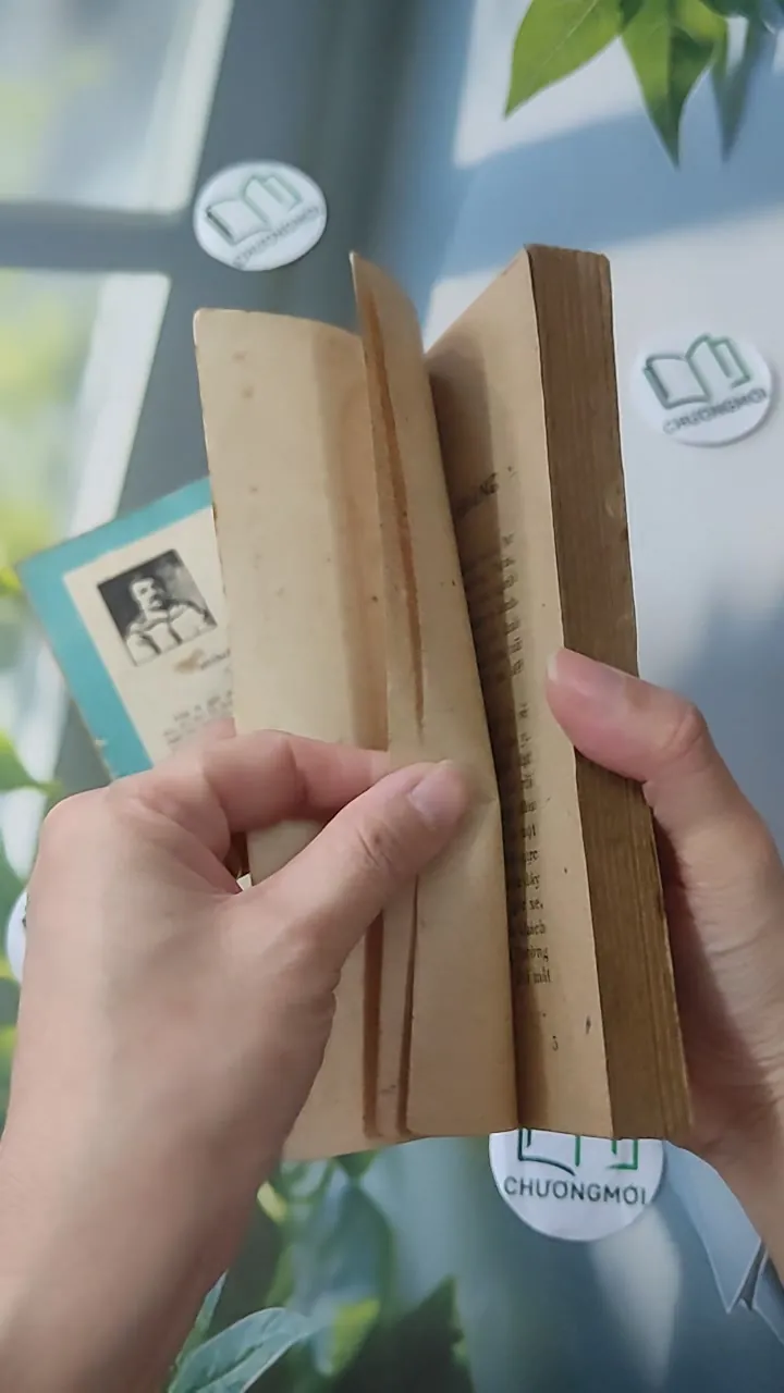 [MIỄN PHÍ BỌC SÁCH] [XƯA] Bộ Dì Bette 1 + 2 (1987) - Honoré de Balzac 997779