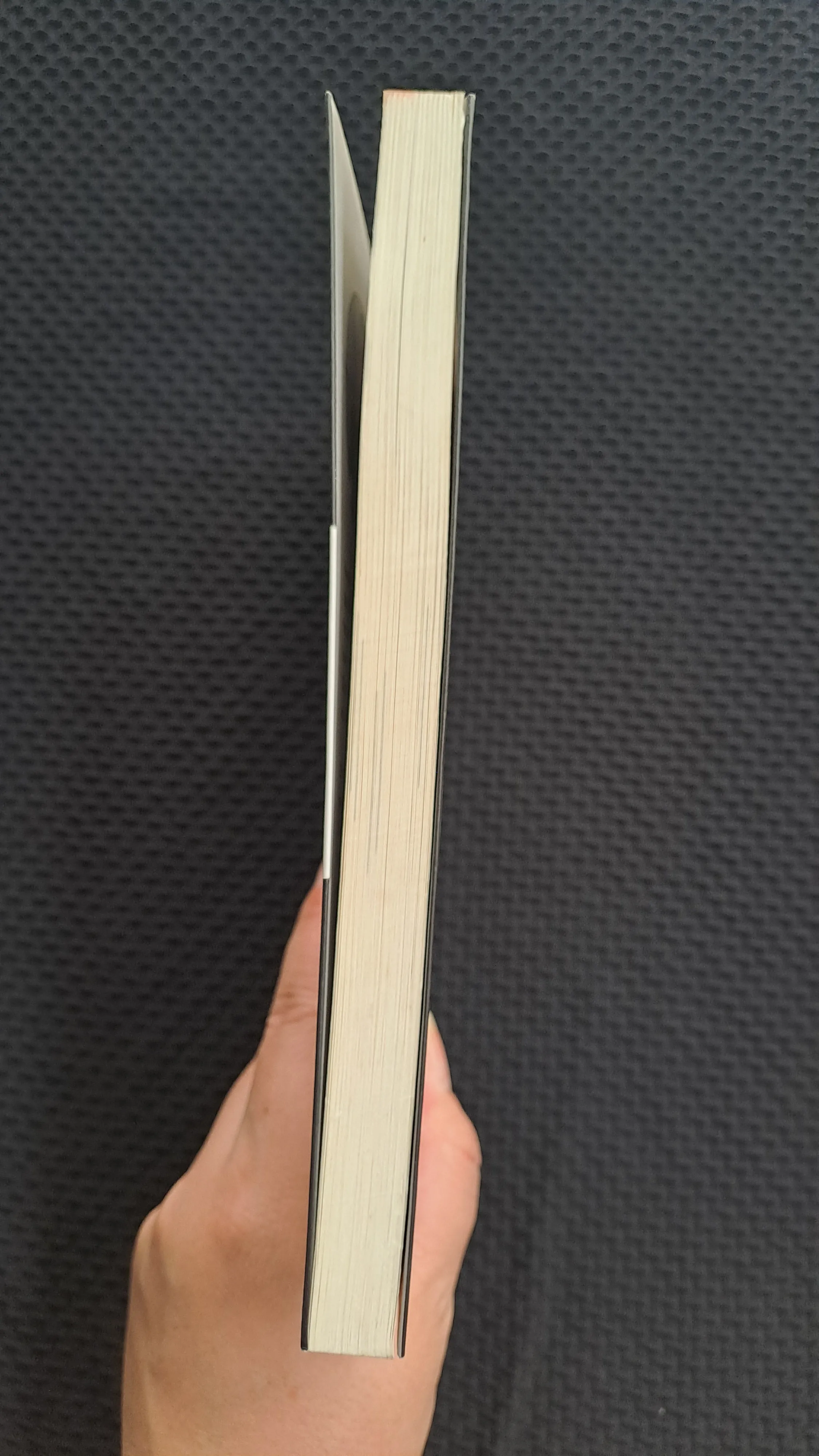 Sức mạnh của động lực - Roman Gelperin 973192