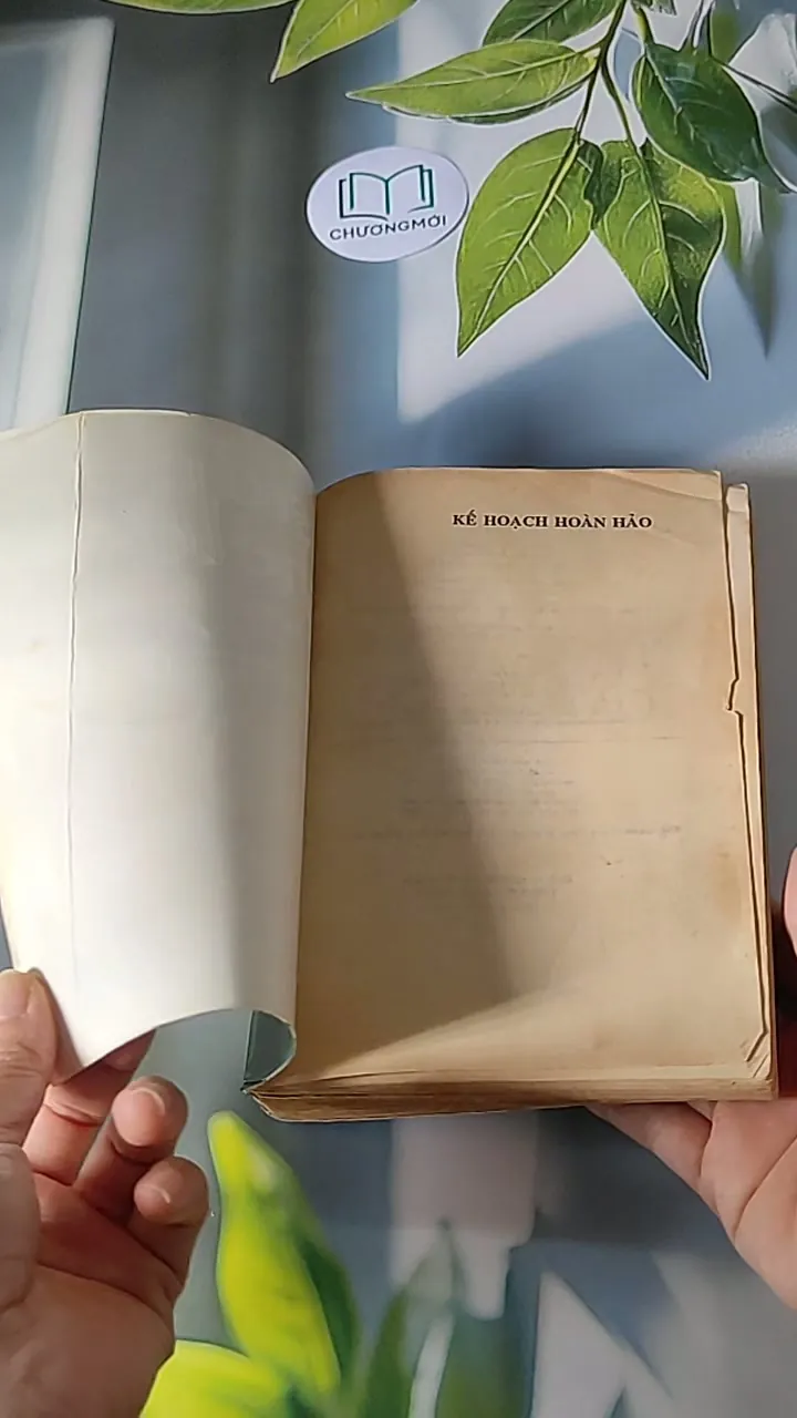 Kế Hoạch Hoàn Hảo (1999) - Sidney Sheldon 607694