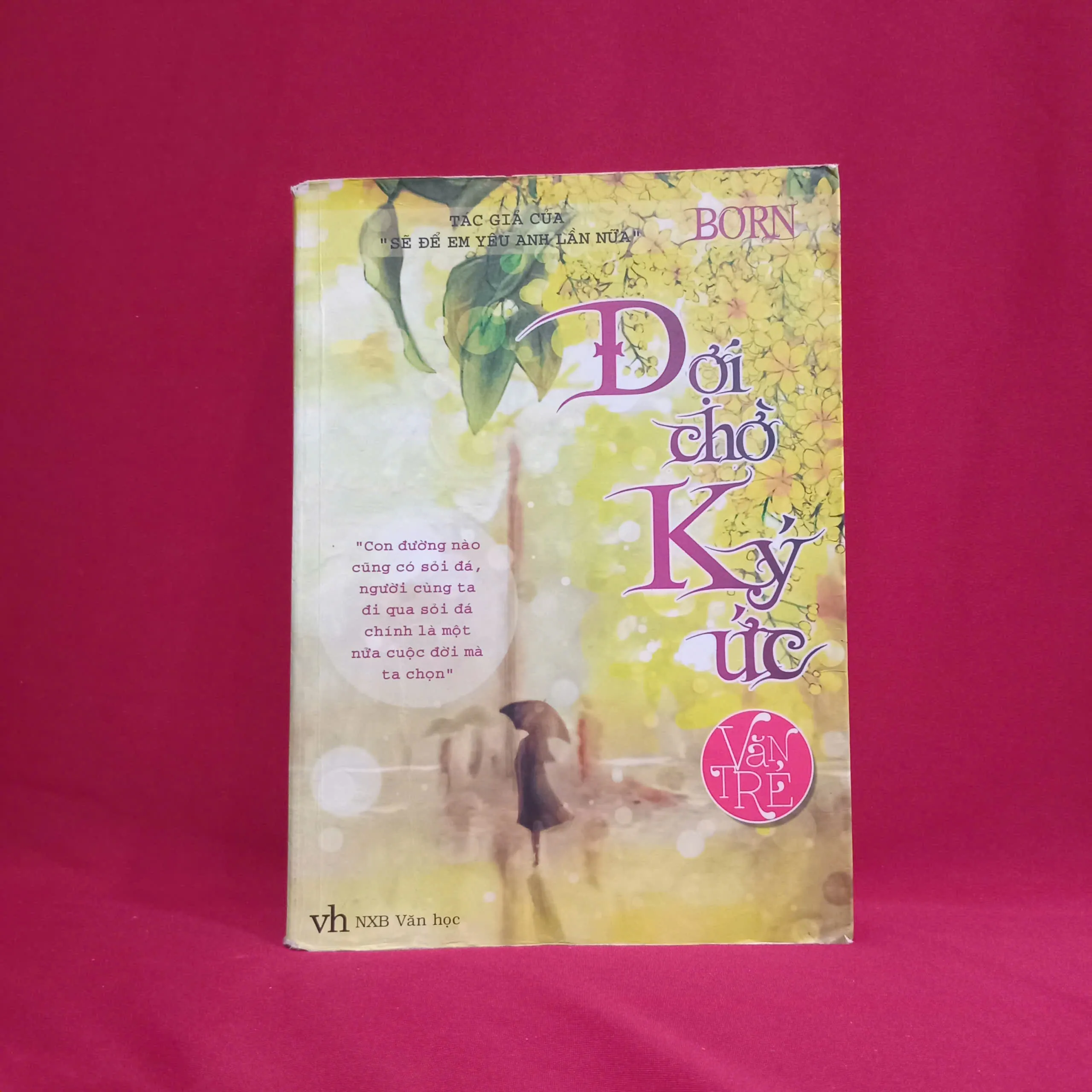 Đợi chờ ký ức 🌻