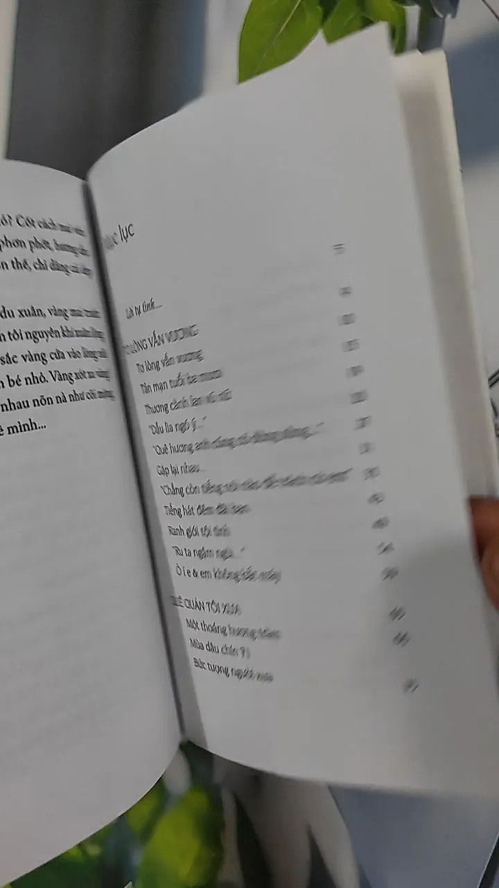 Xao Xuyến Đường Hoa - Lê Phúc Cường 798492