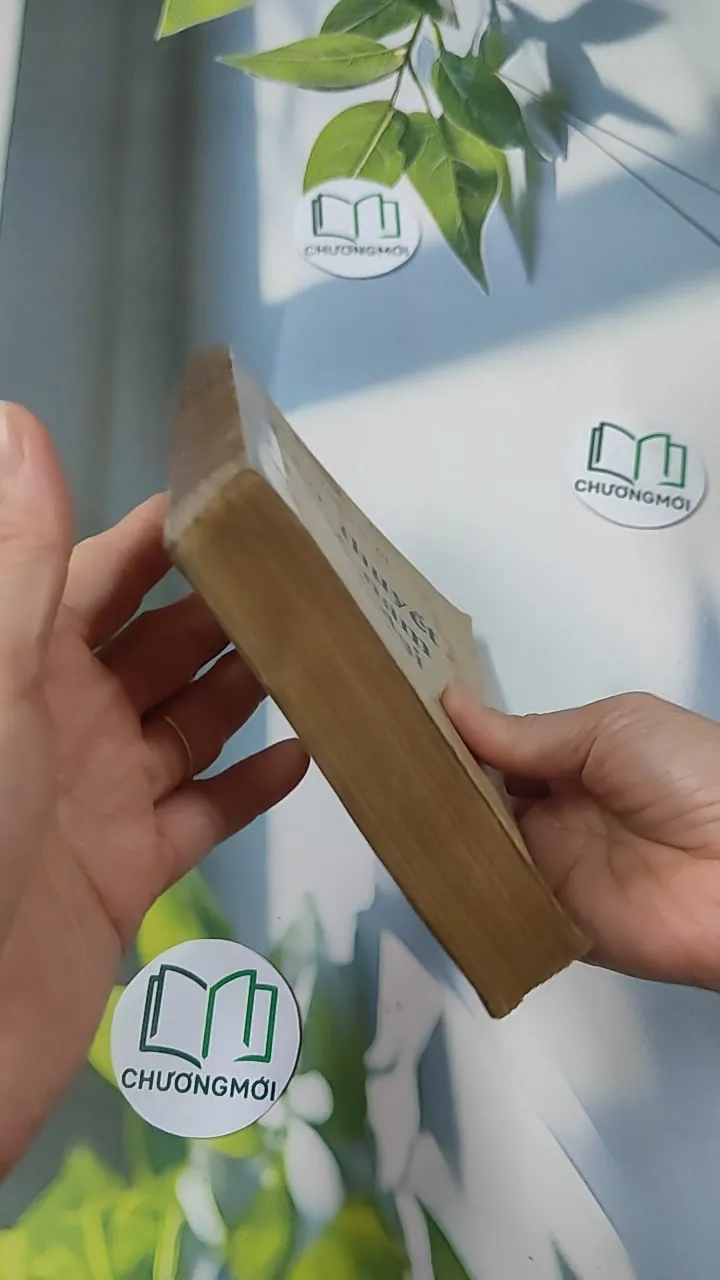 [MIỄN PHÍ BỌC SÁCH] [XƯA] Tiểu Thuyết Việt Nam Hiện Đại 2 (1978) - Phan Cự Đệ 776017