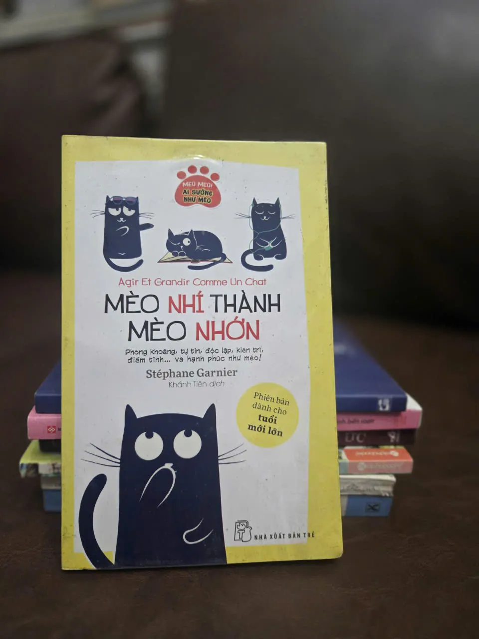 MÈO NHÍ THÀNH MÈO NHỚN