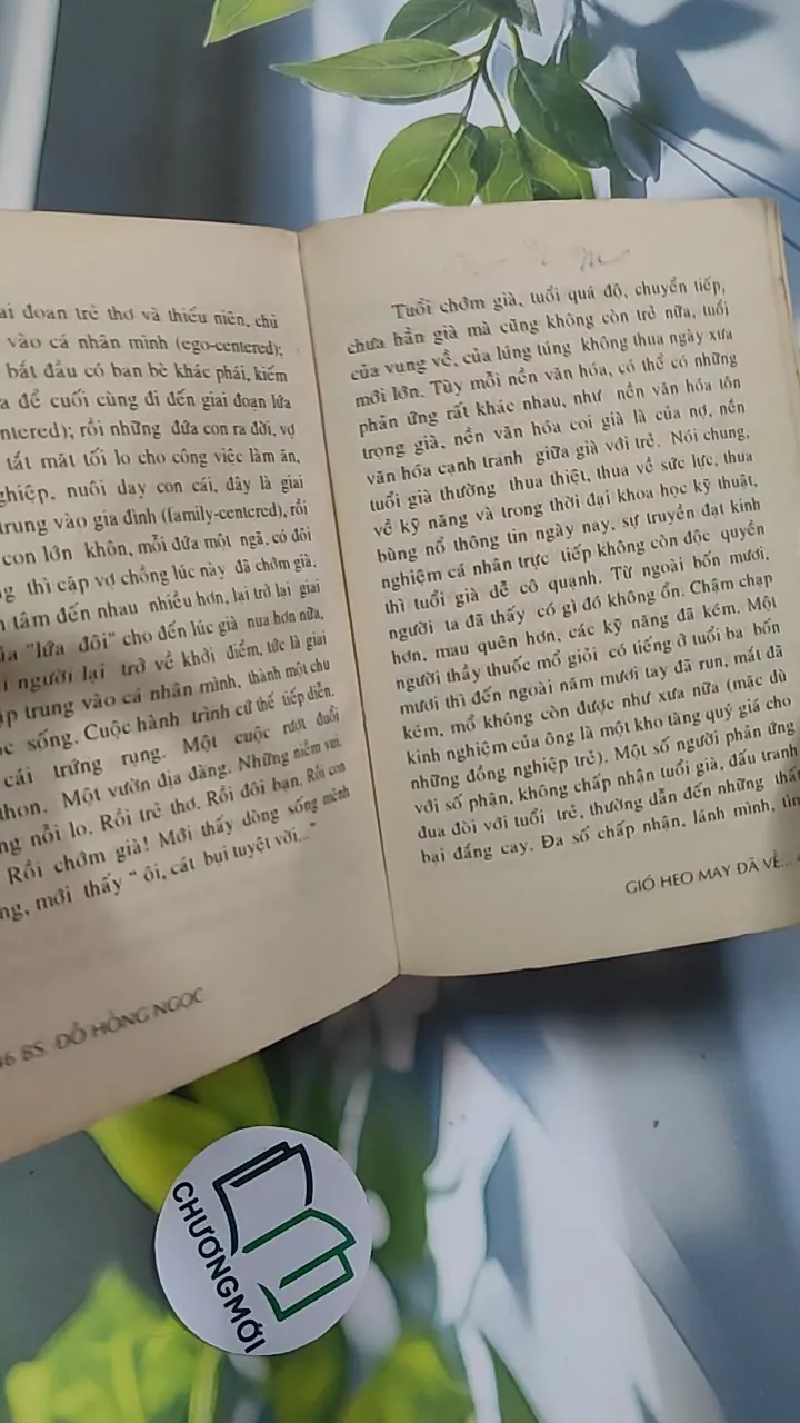 Gió Heo May Đã Về - BS Đỗ Hồng Ngọc 776045