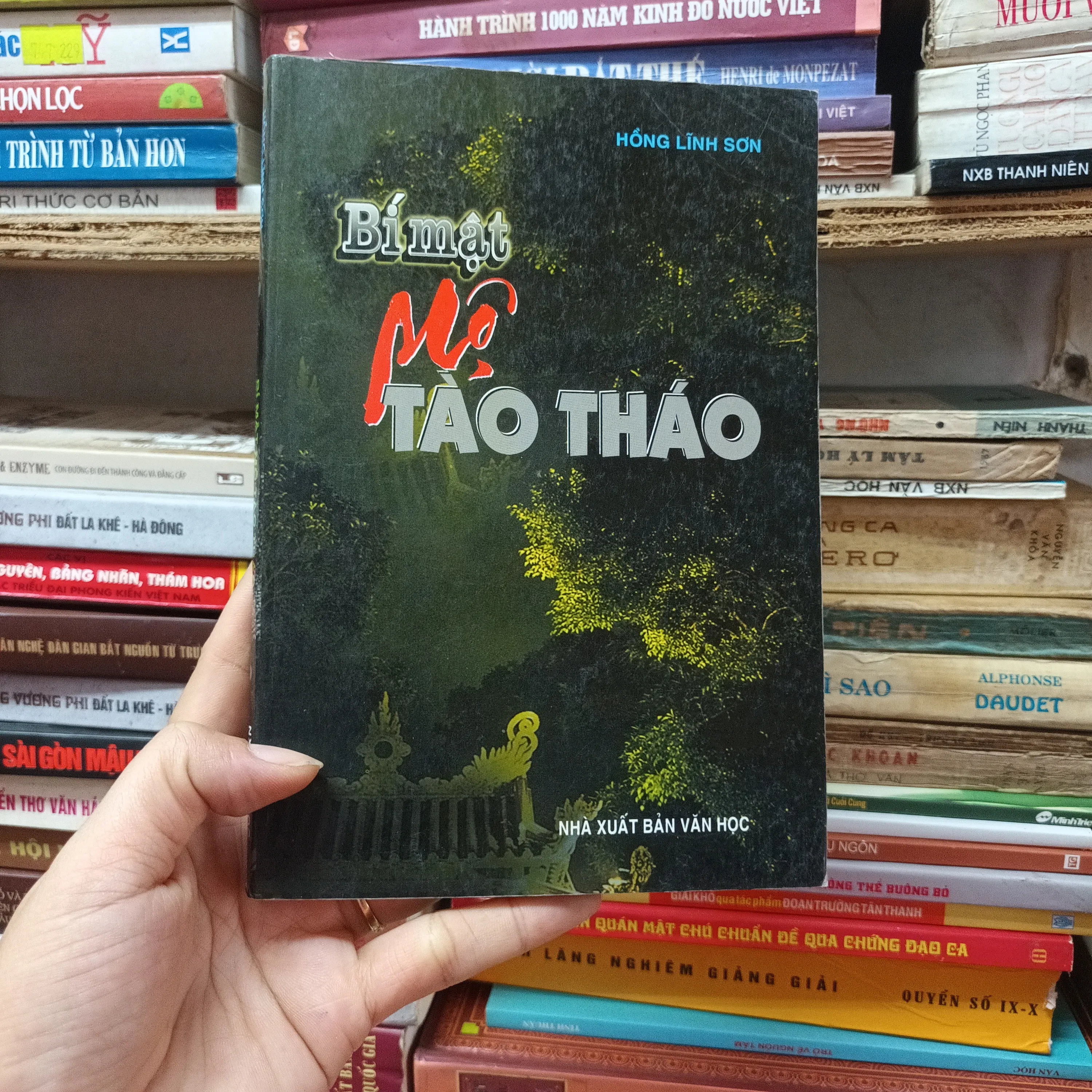 Bí Mật Mộ Tào Tháo- Hồng Lĩnh Sơn