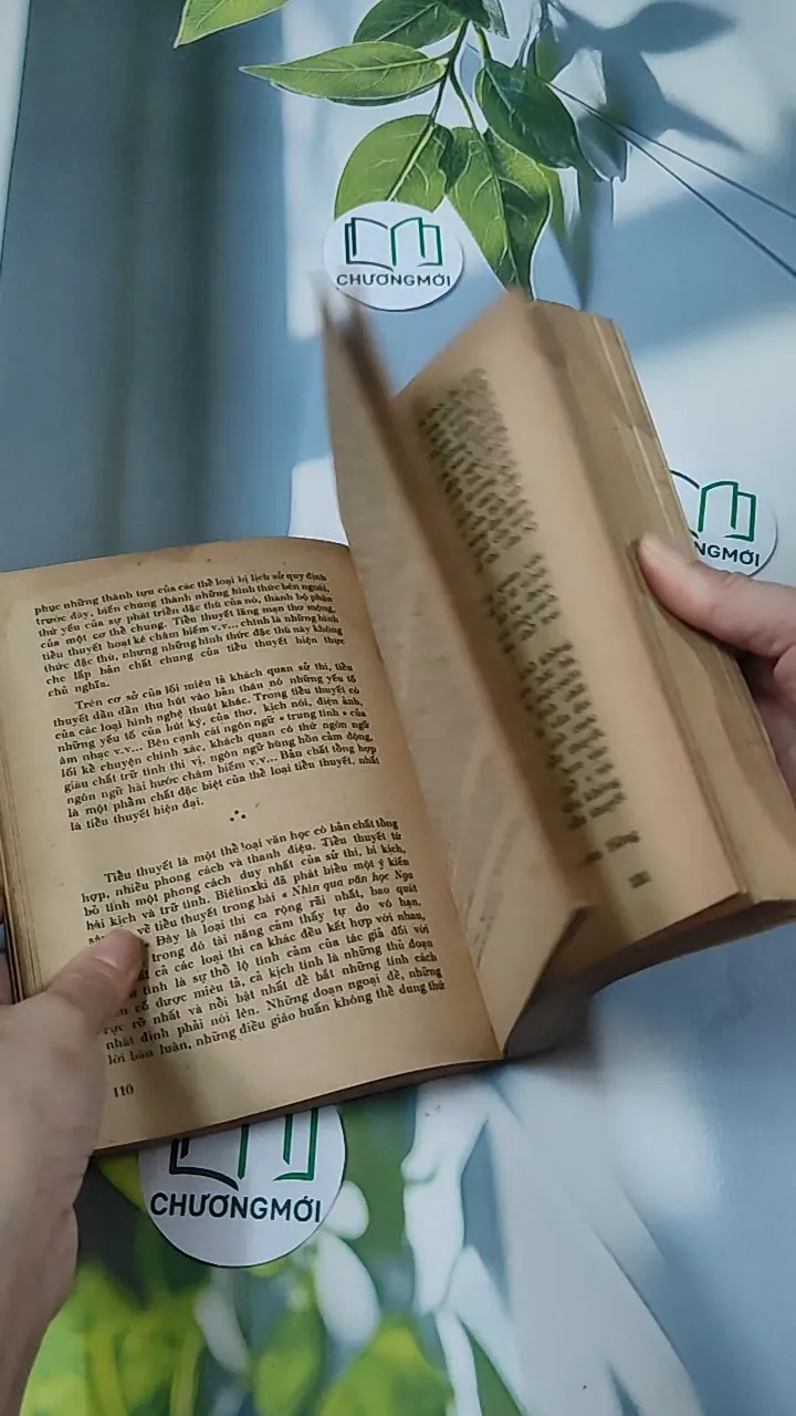 [MIỄN PHÍ BỌC SÁCH] [XƯA] Tiểu Thuyết Việt Nam Hiện Đại 2 (1978) - Phan Cự Đệ 776017