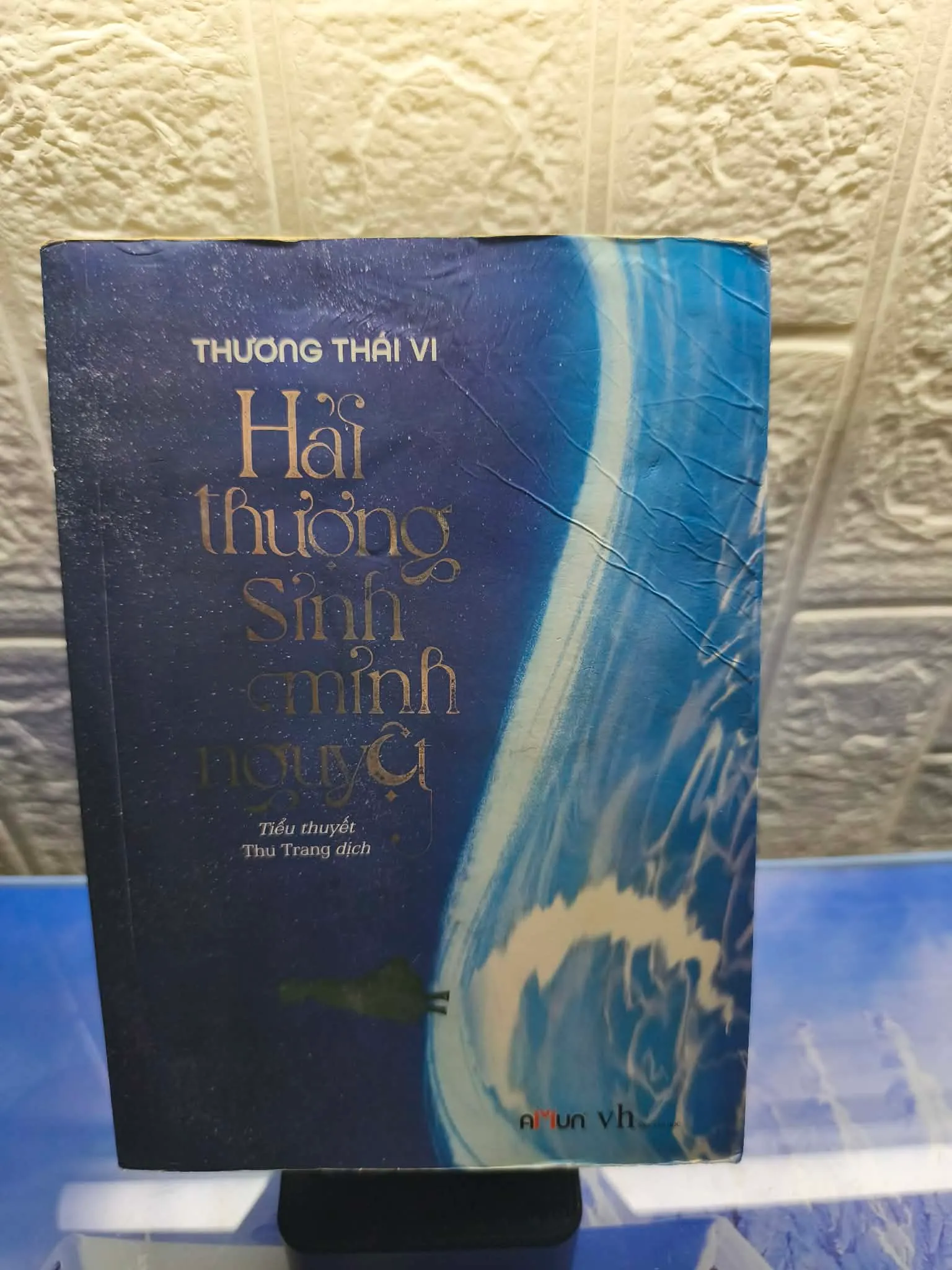 Hải Thượng Sinh Minh Nguyệt 