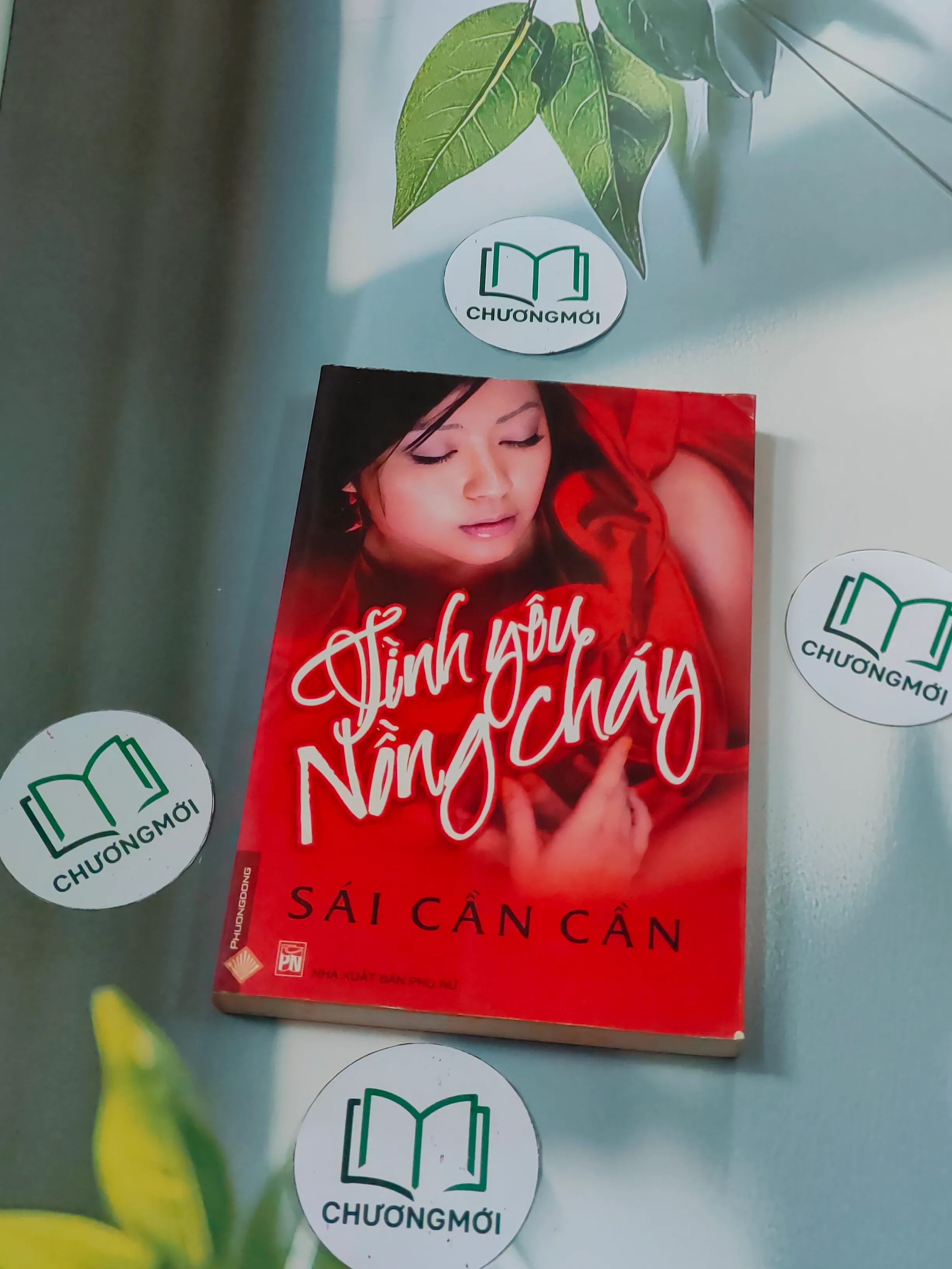 Tình yêu nồng cháy - Sái Cần Cần