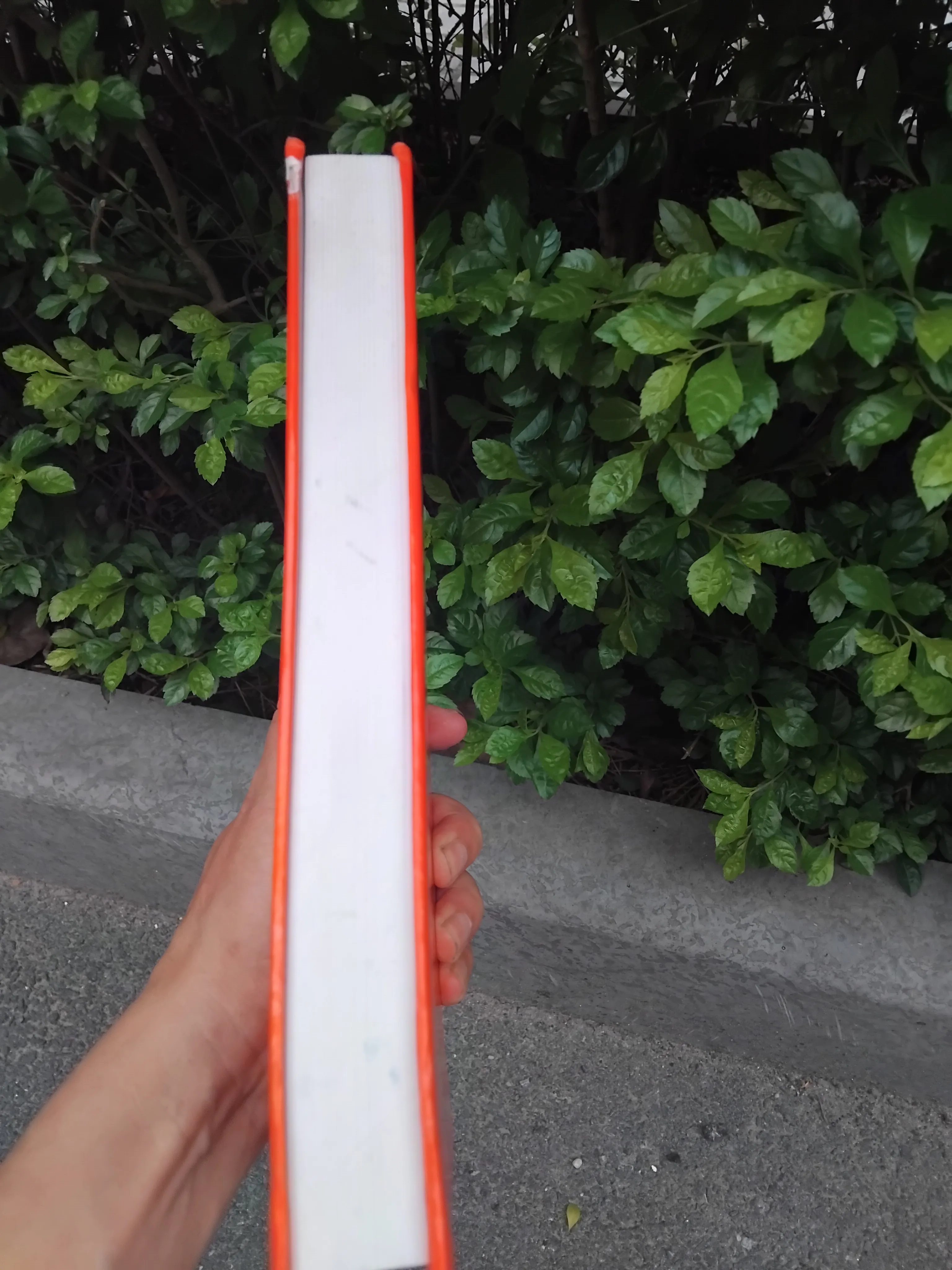 Hằng số luân hồi thái cực hoa giáp của TS Nguyễn Ngọc Thạch  1001360