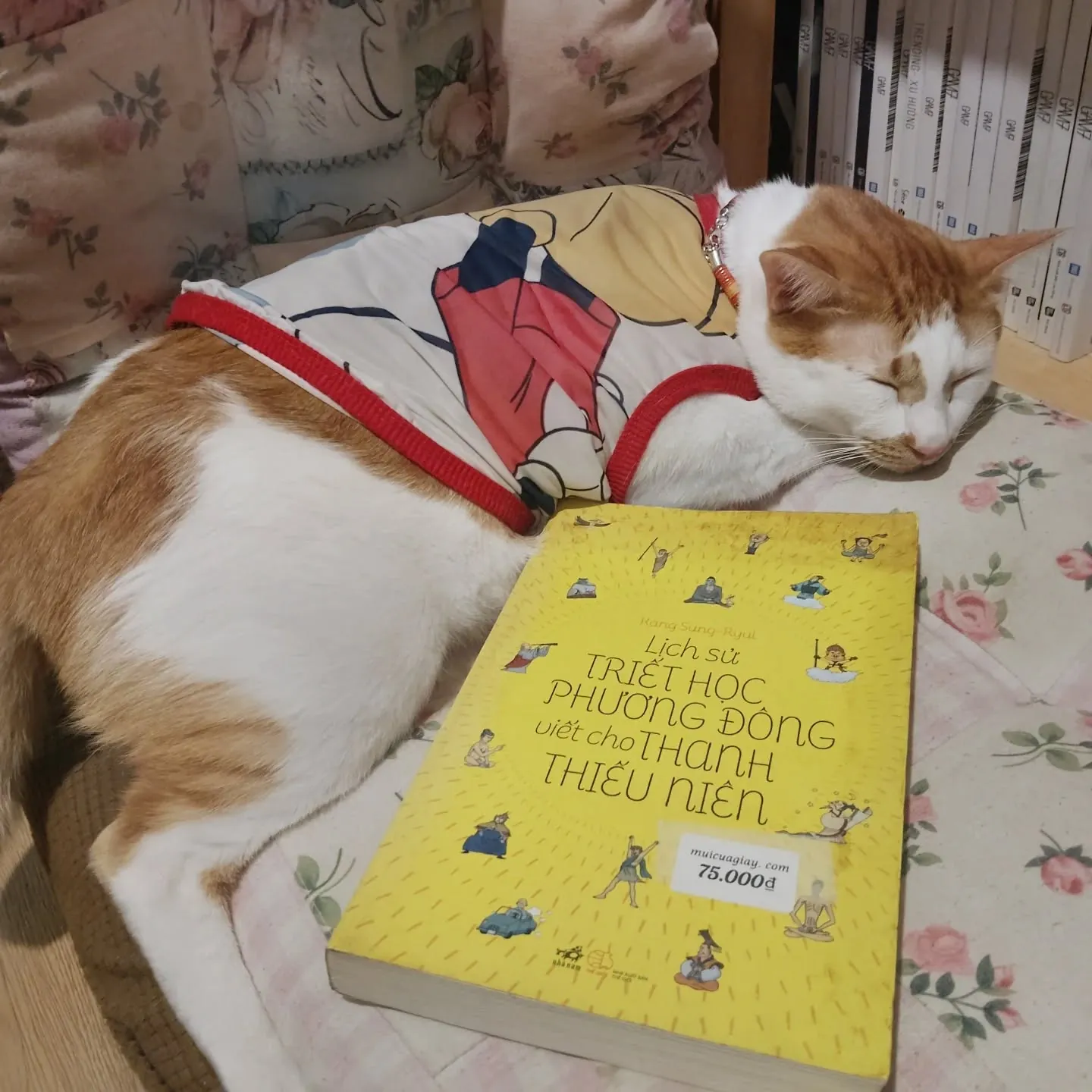 Lịch sử triết học phương Đông viết cho thanh thiếu niên - Kang Sung, Ryul