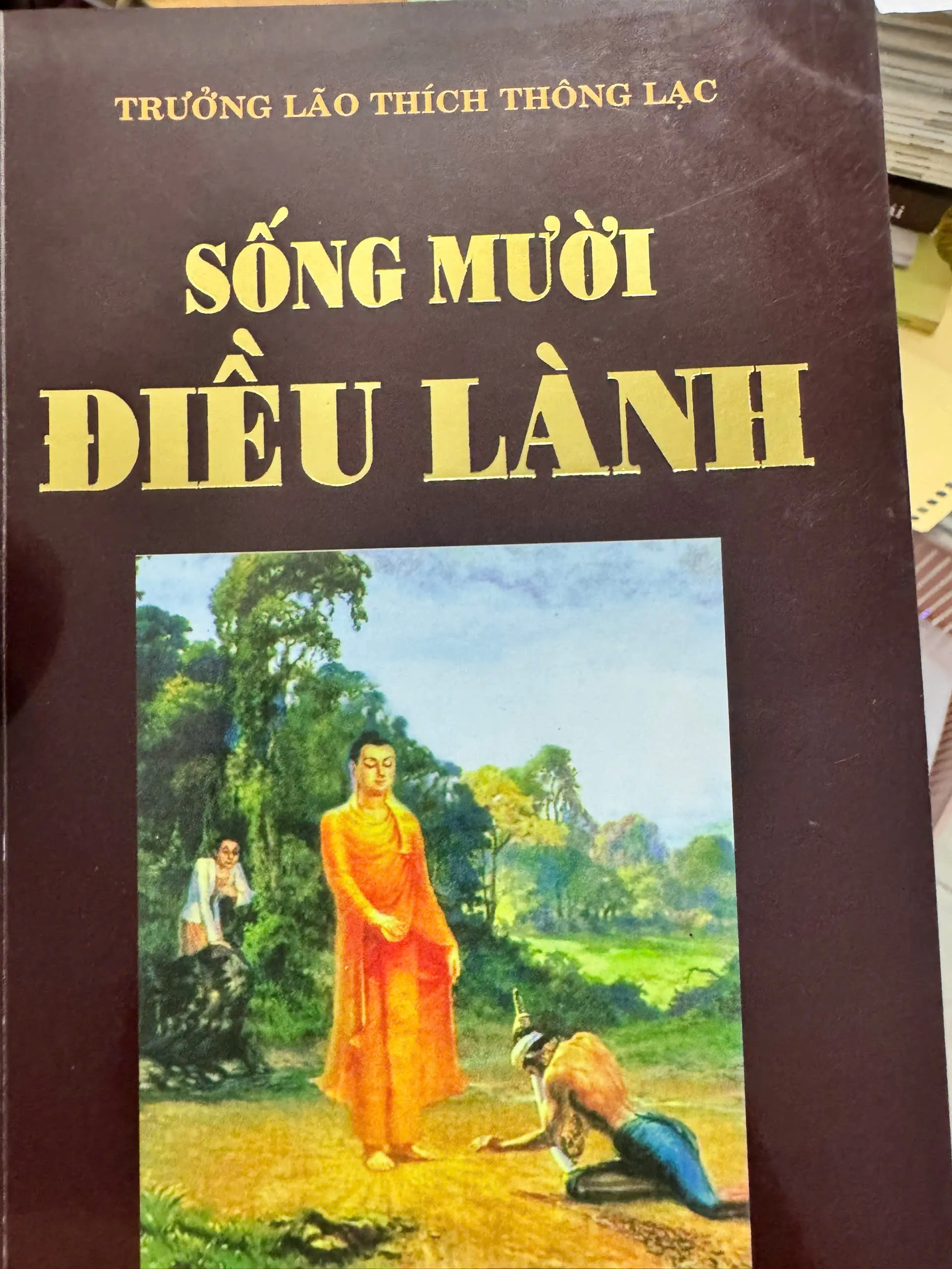 SỐNG MƯỜI ĐIỀU LÀNH - THÍCH THÔNG LẠC 100K