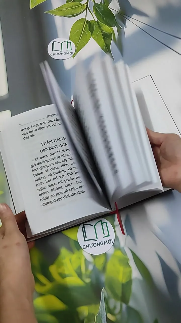 Đại Thừa Vô Lượng Thọ Trang Nghiêm Thanh Tịnh Bình Đẳng Giác Kinh - HT. Thích Đức Niệm 750812