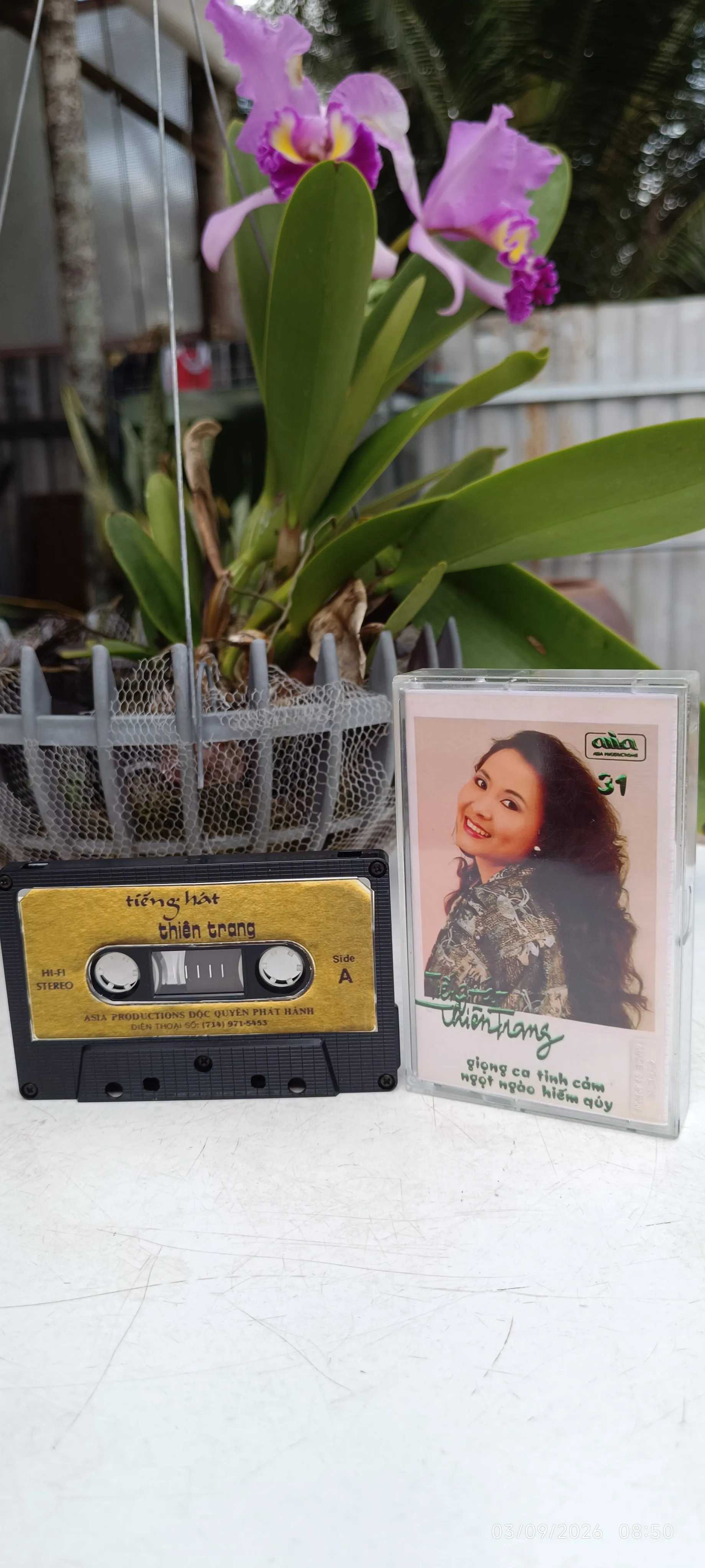 Băng Cassette Nhạc Tiếng Hát Thiên Trang